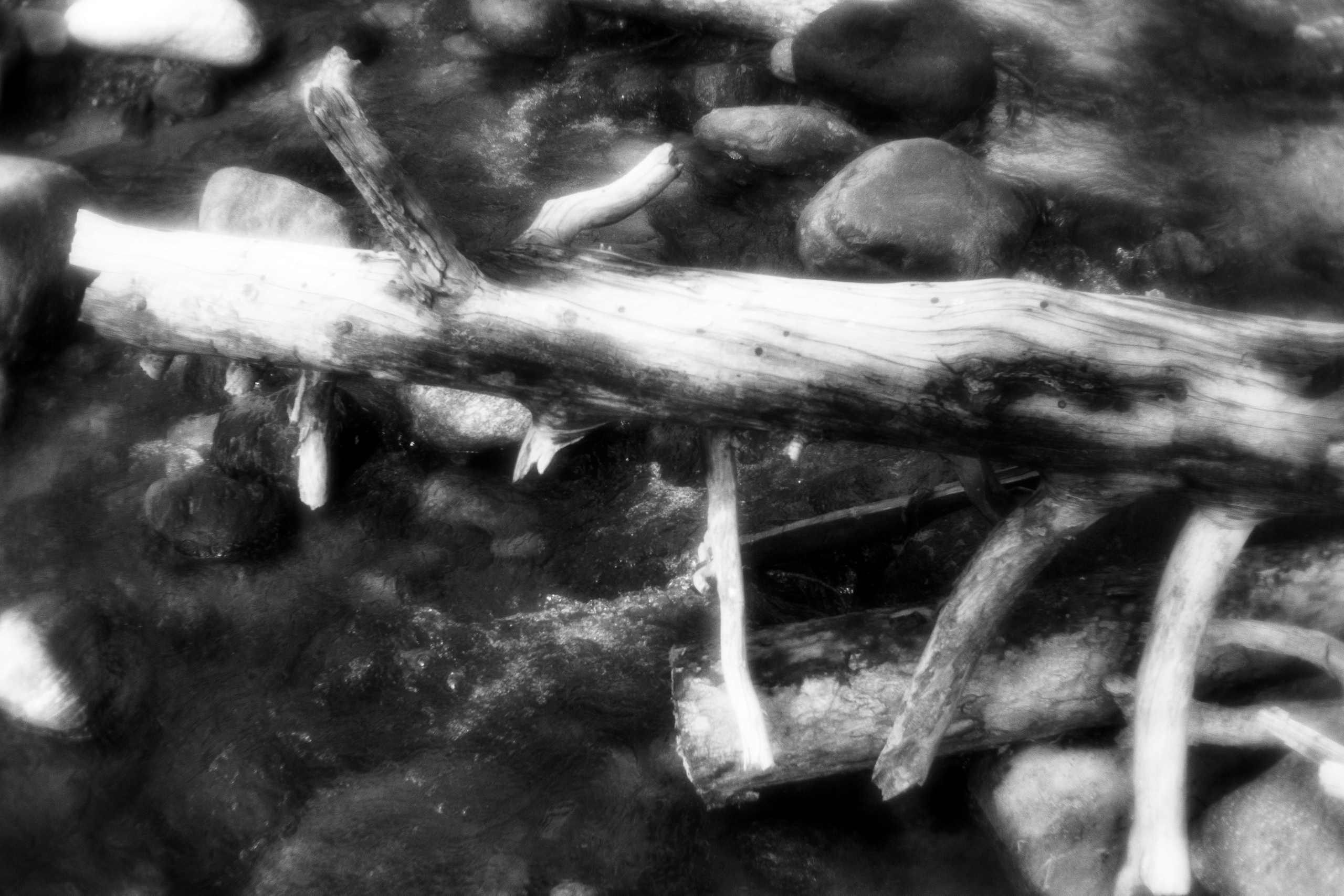 Ч.б. фотографии. Фотографии Лены Соколовой