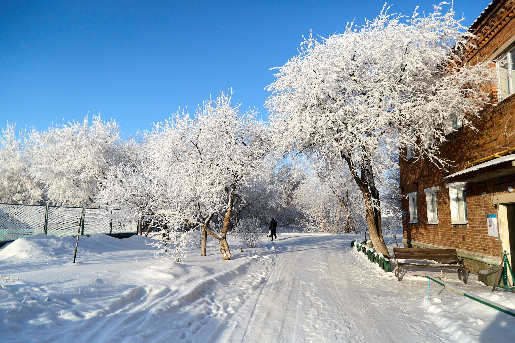 Предновогодняя сказка. Фотограф Омск | Александр Вандеров