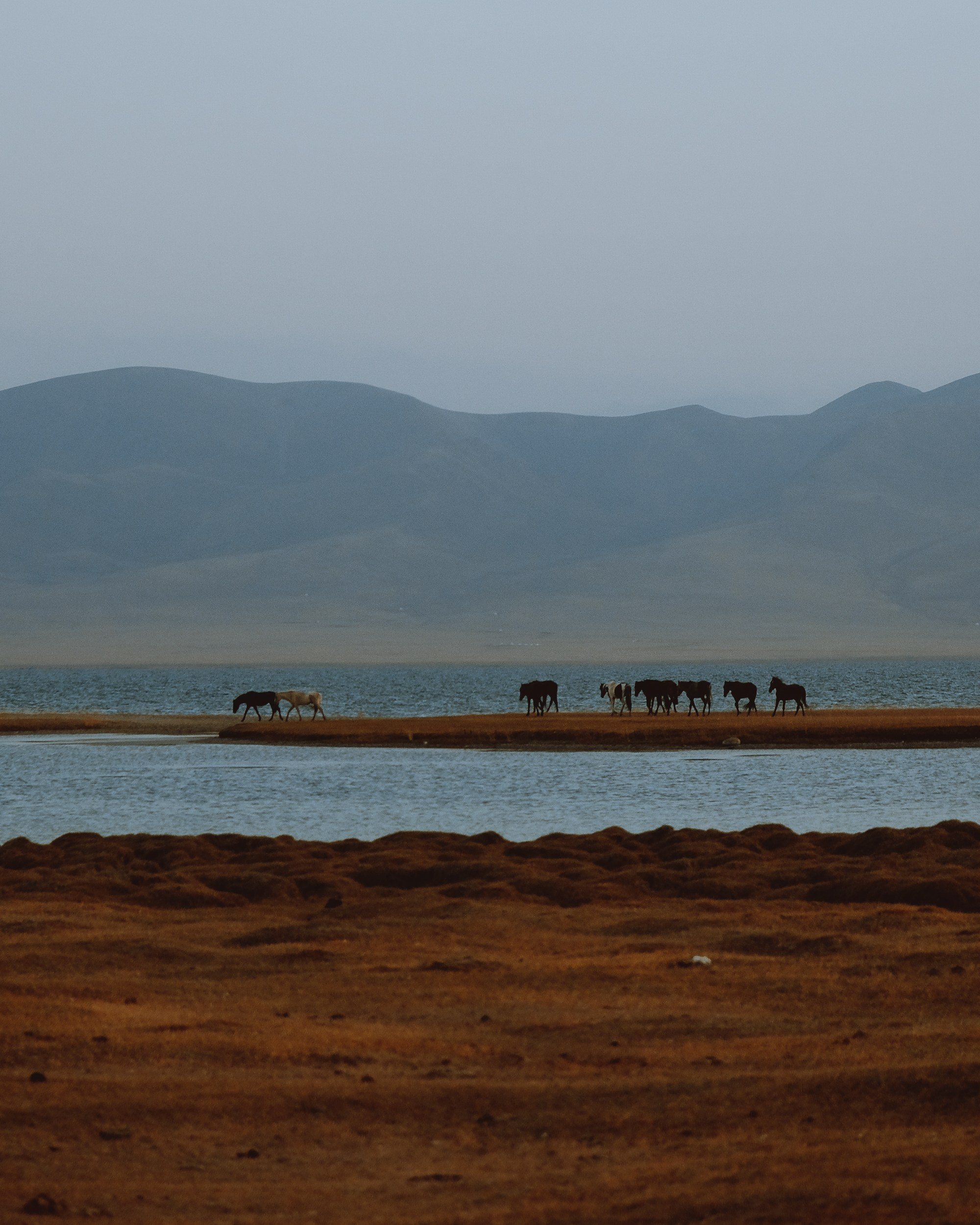 Кыргызстан. Фотограф Дмитрий Олрайт | Калуга, Россия