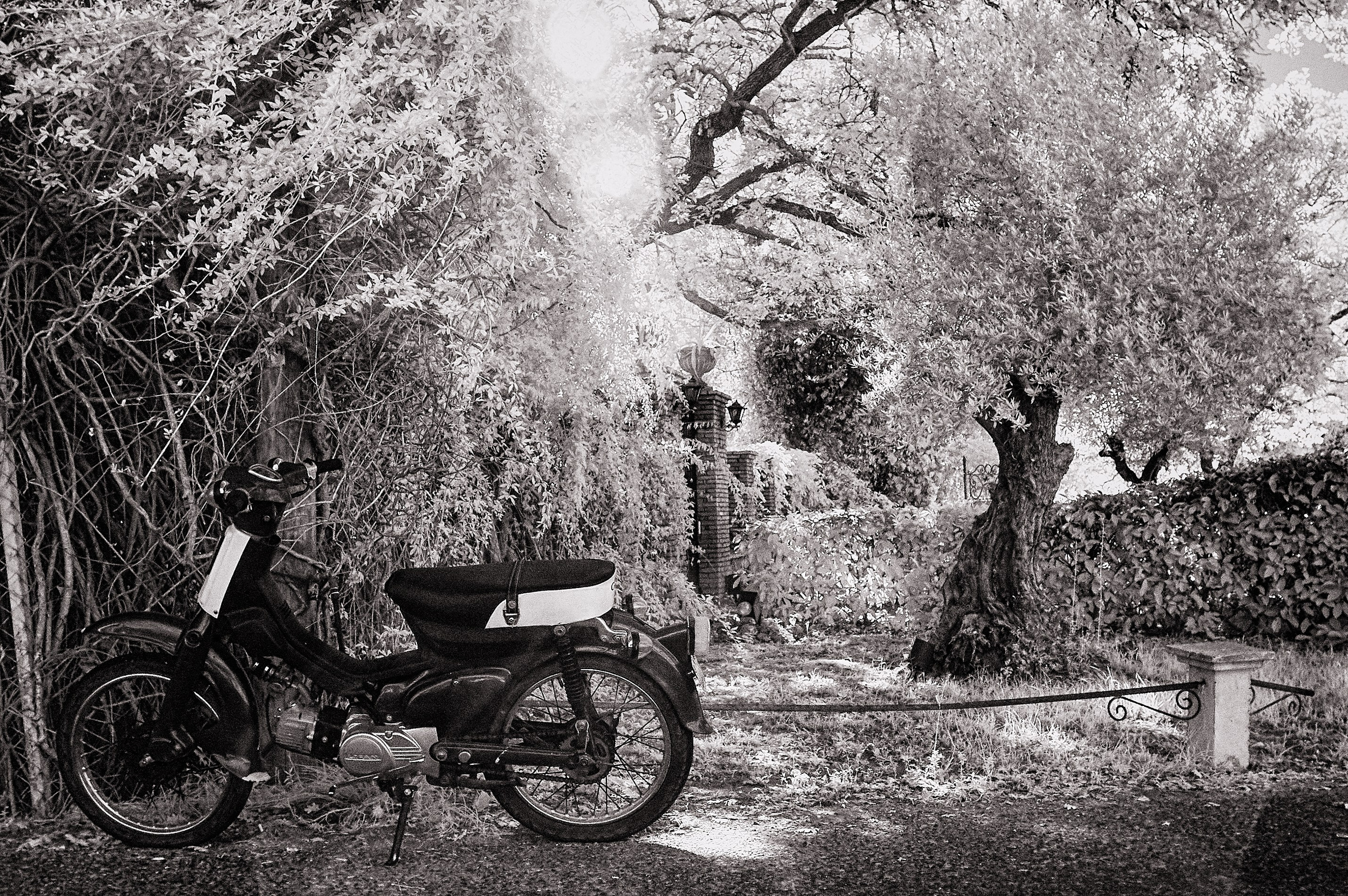 Infrared Photography. Solofilms