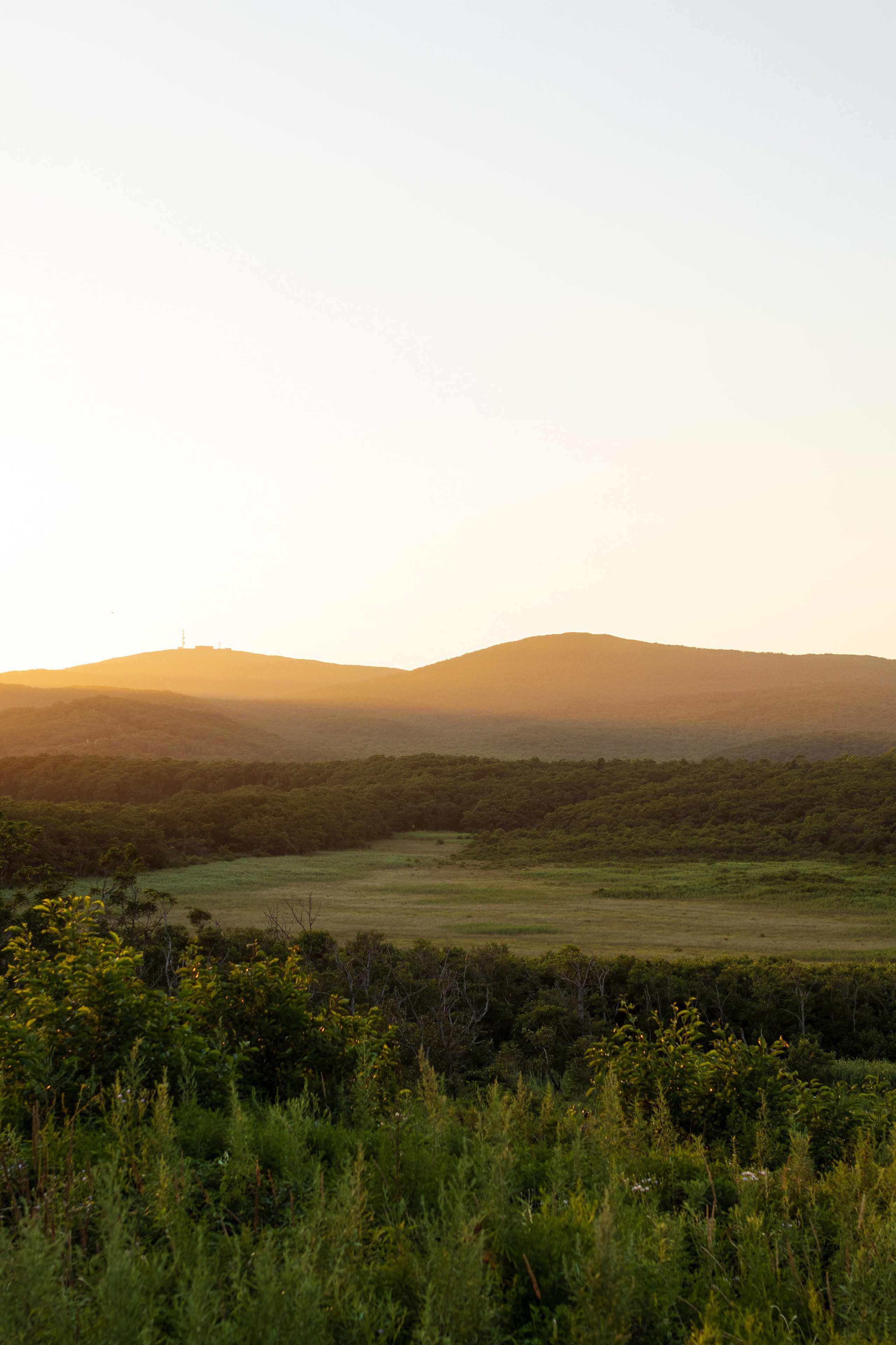 Летний вечер. Константин Кириченко