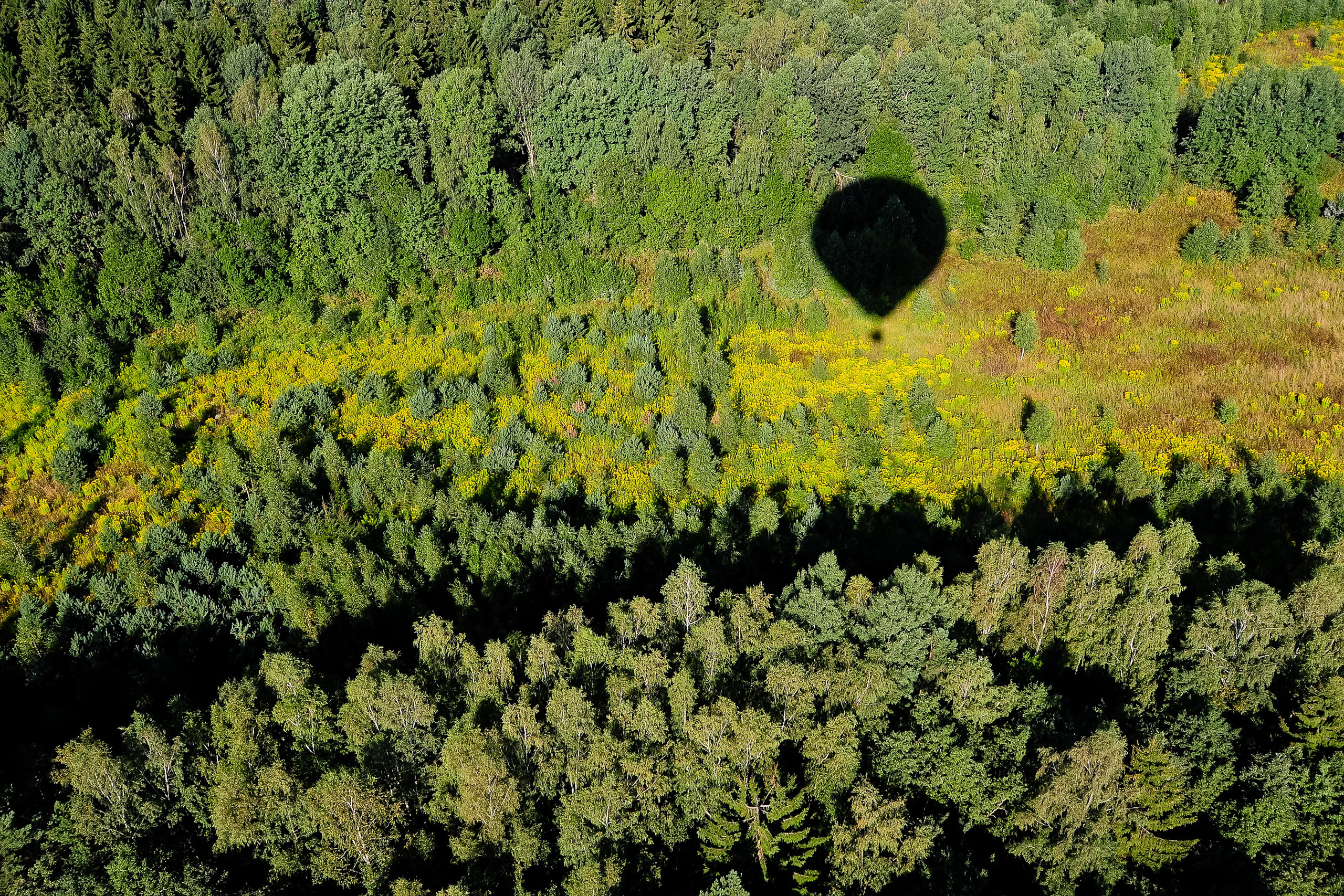 Репортажный фотограф минск. Portrait photographer in Minsk Slava Potalakh