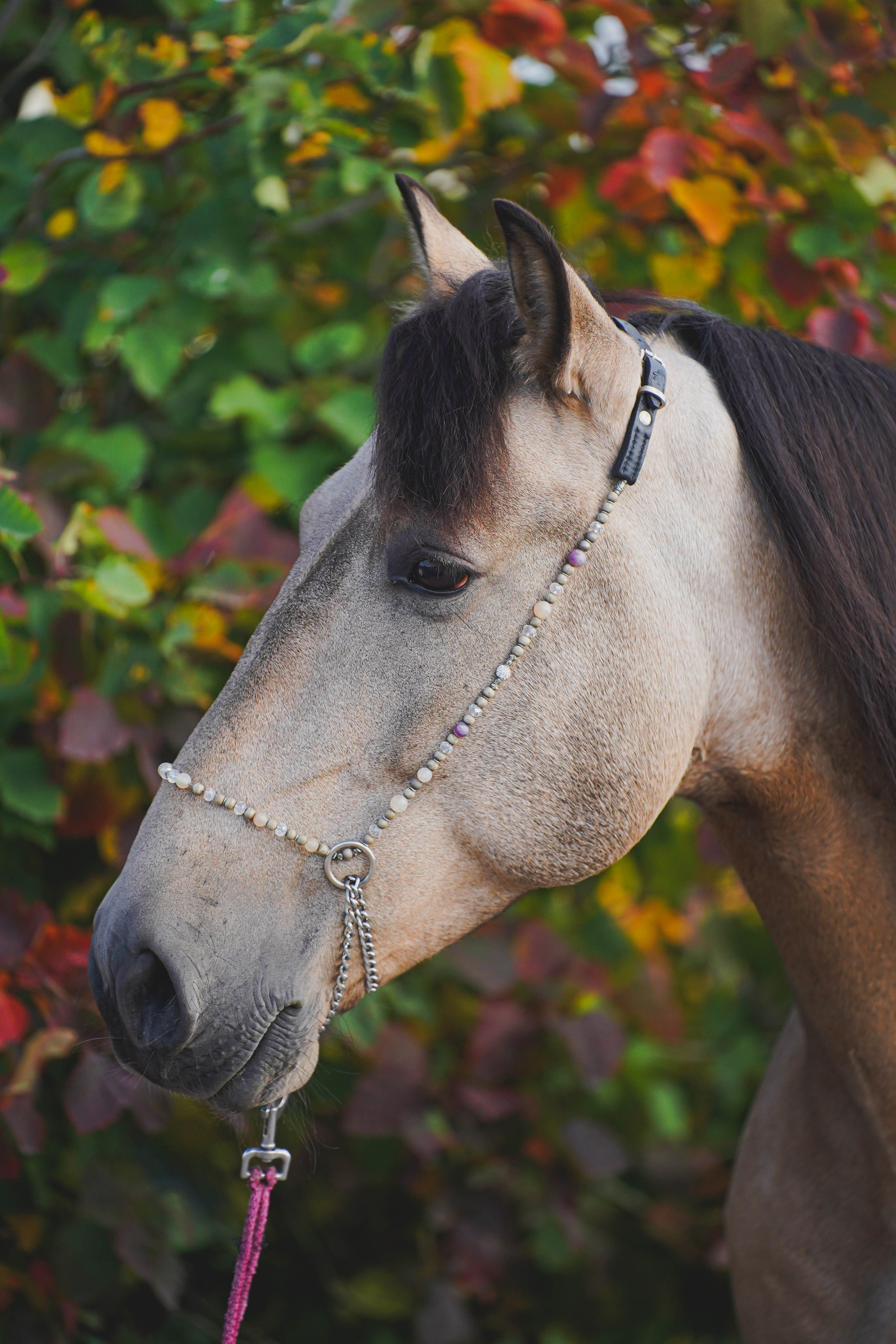 Экстерьер и спорт. Фотограф в Москве Ленарская Дарья