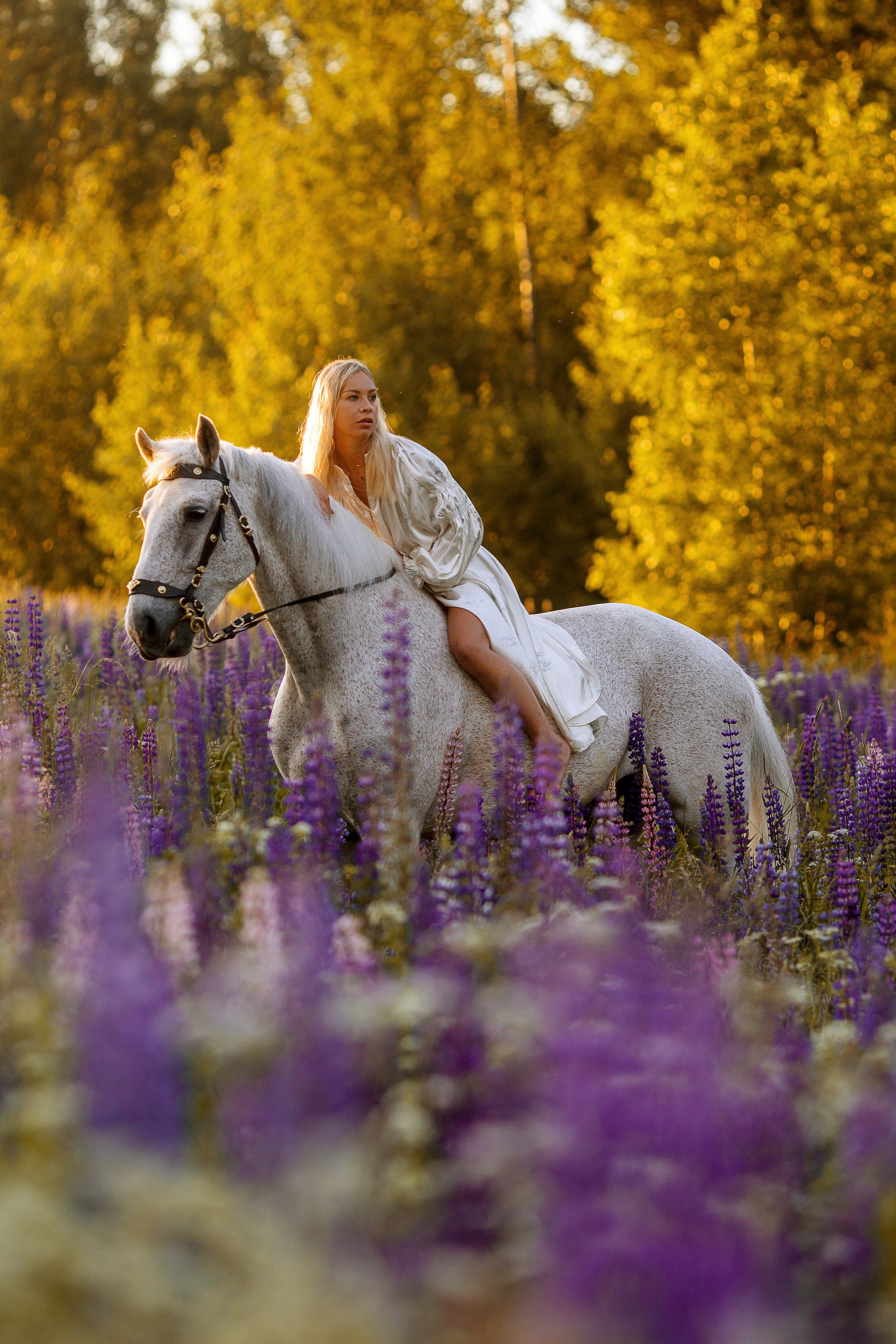 Фотосессия с лошадью в люпинах