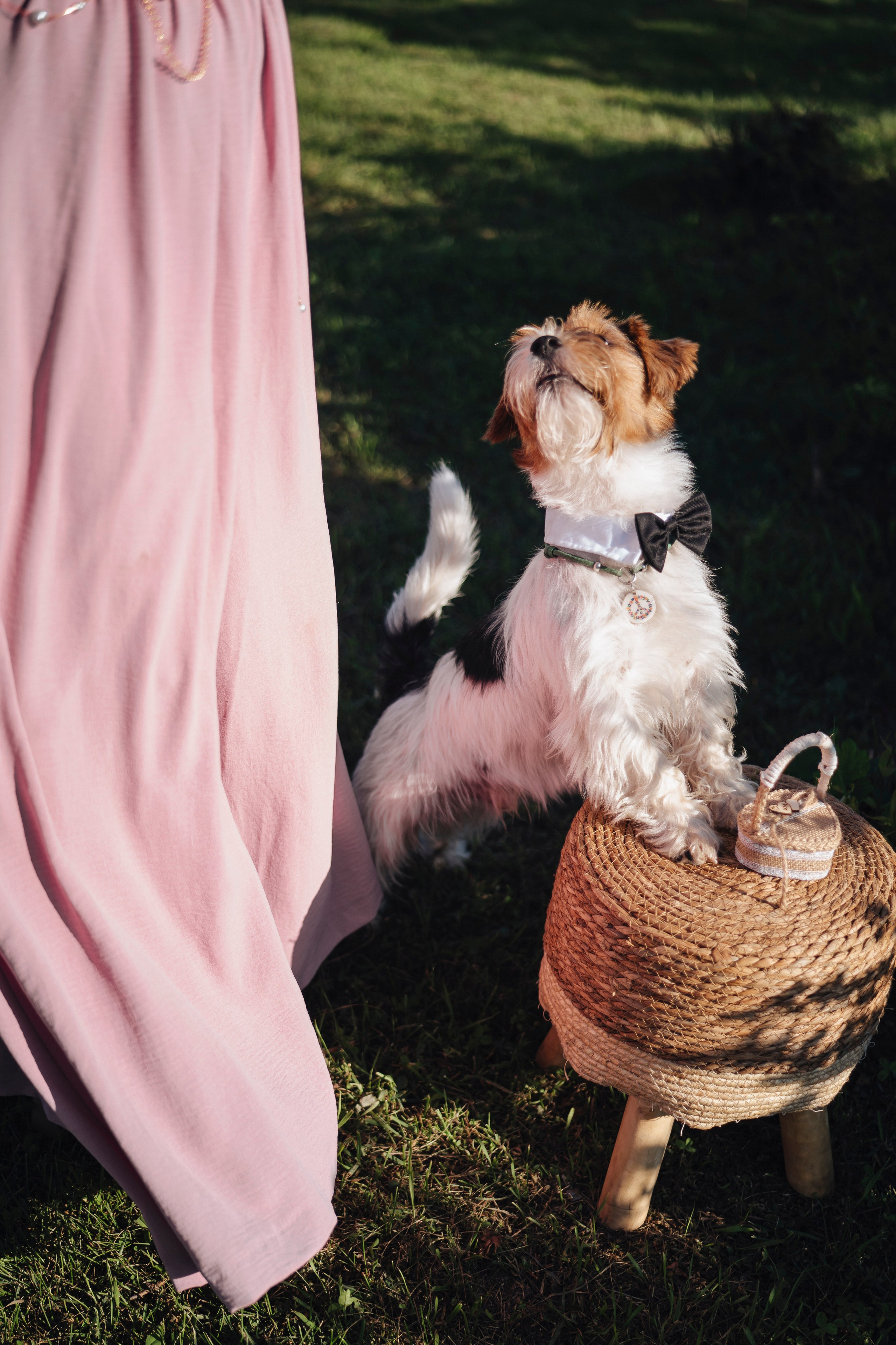 Nelly & Alexandr. Фотограф в Москве Людмила Денисенко