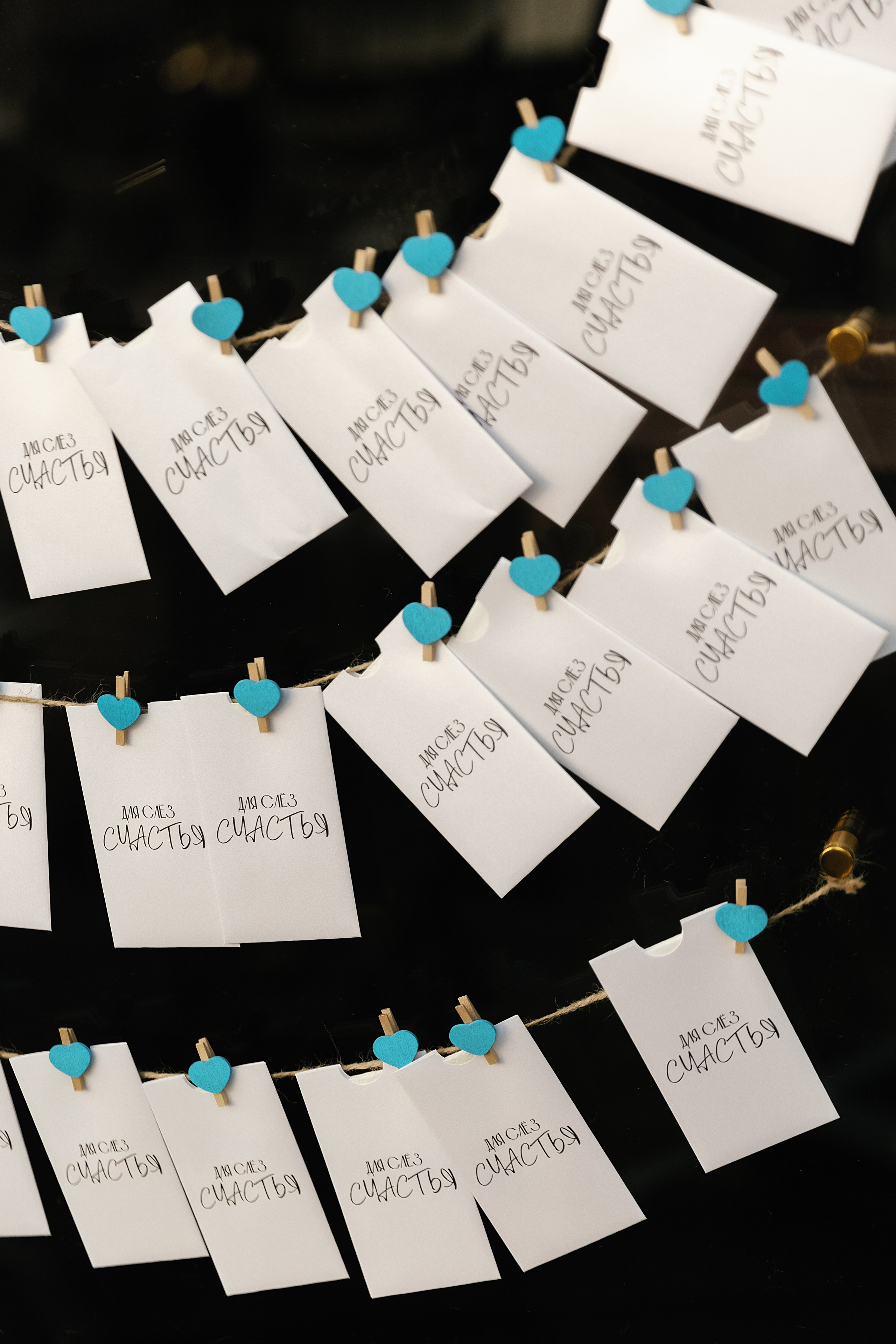 Юрий и Анастасия. Свадебный и семейный фотограф Харольцева Наталья