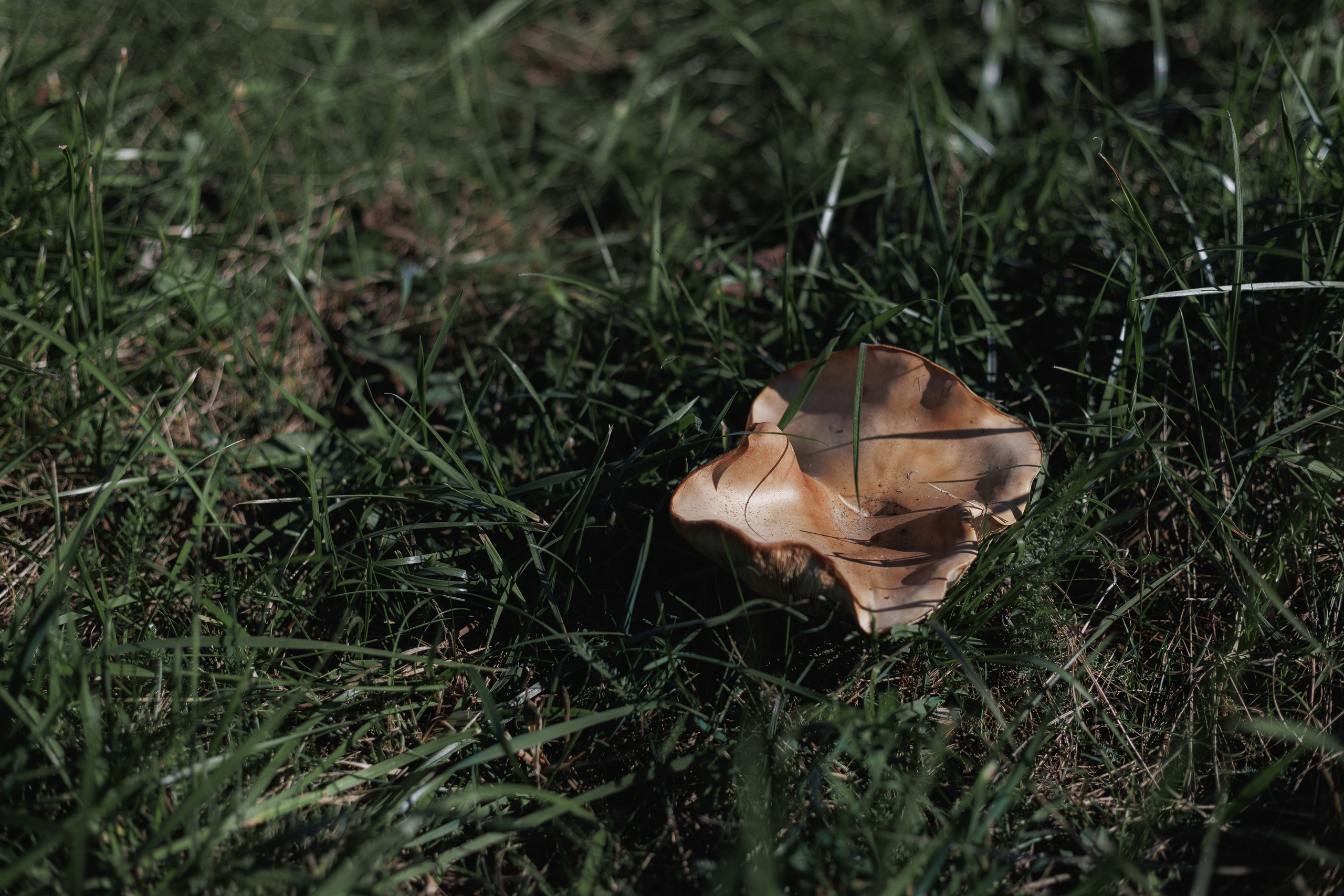 Съемка перформанса. Ксю Галиасфарова — Фотограф Казань