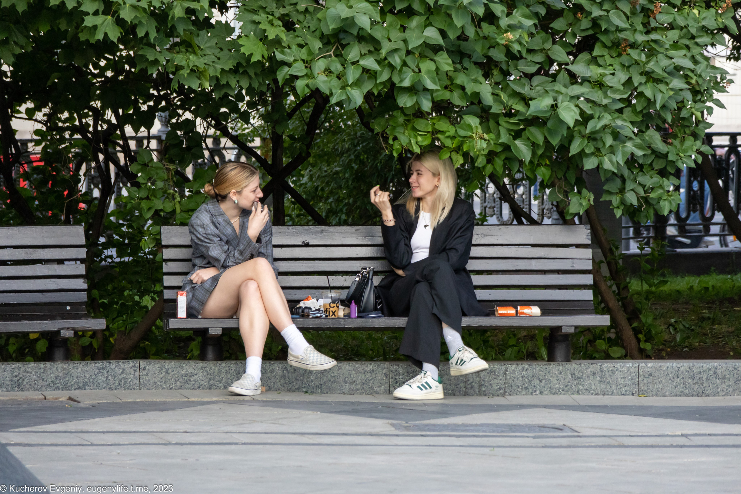 Скамейки. Кучеров Евгений. Фотограф