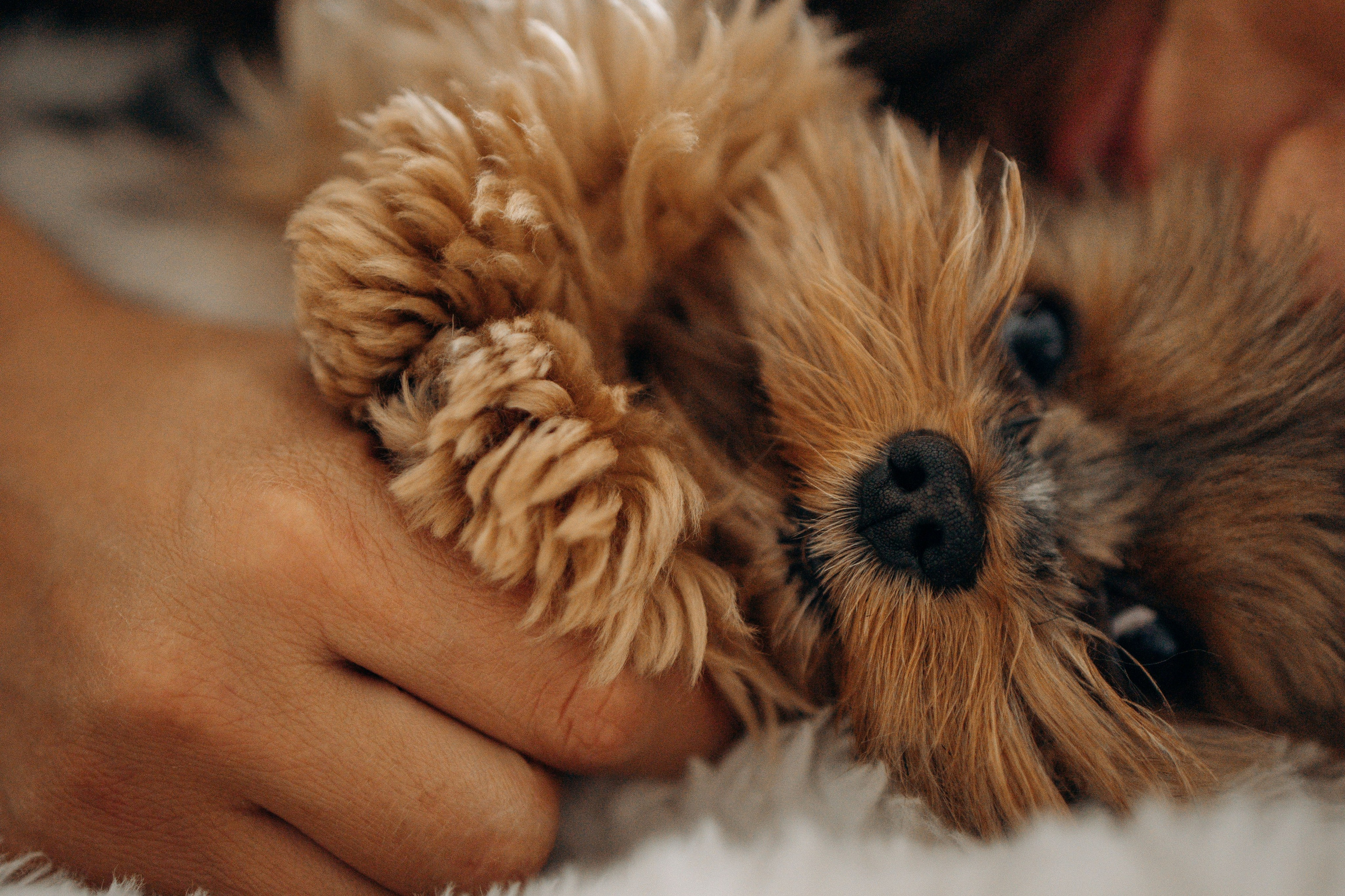 Настя и Йося