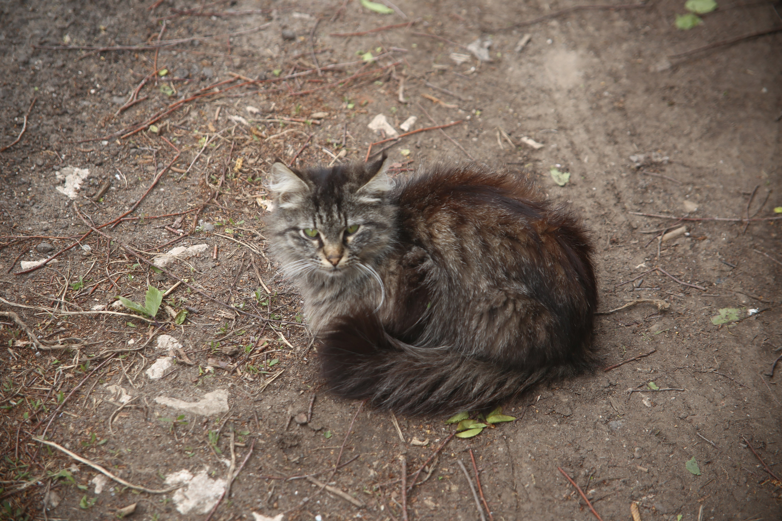 Всё, что я вижу вокруг себя