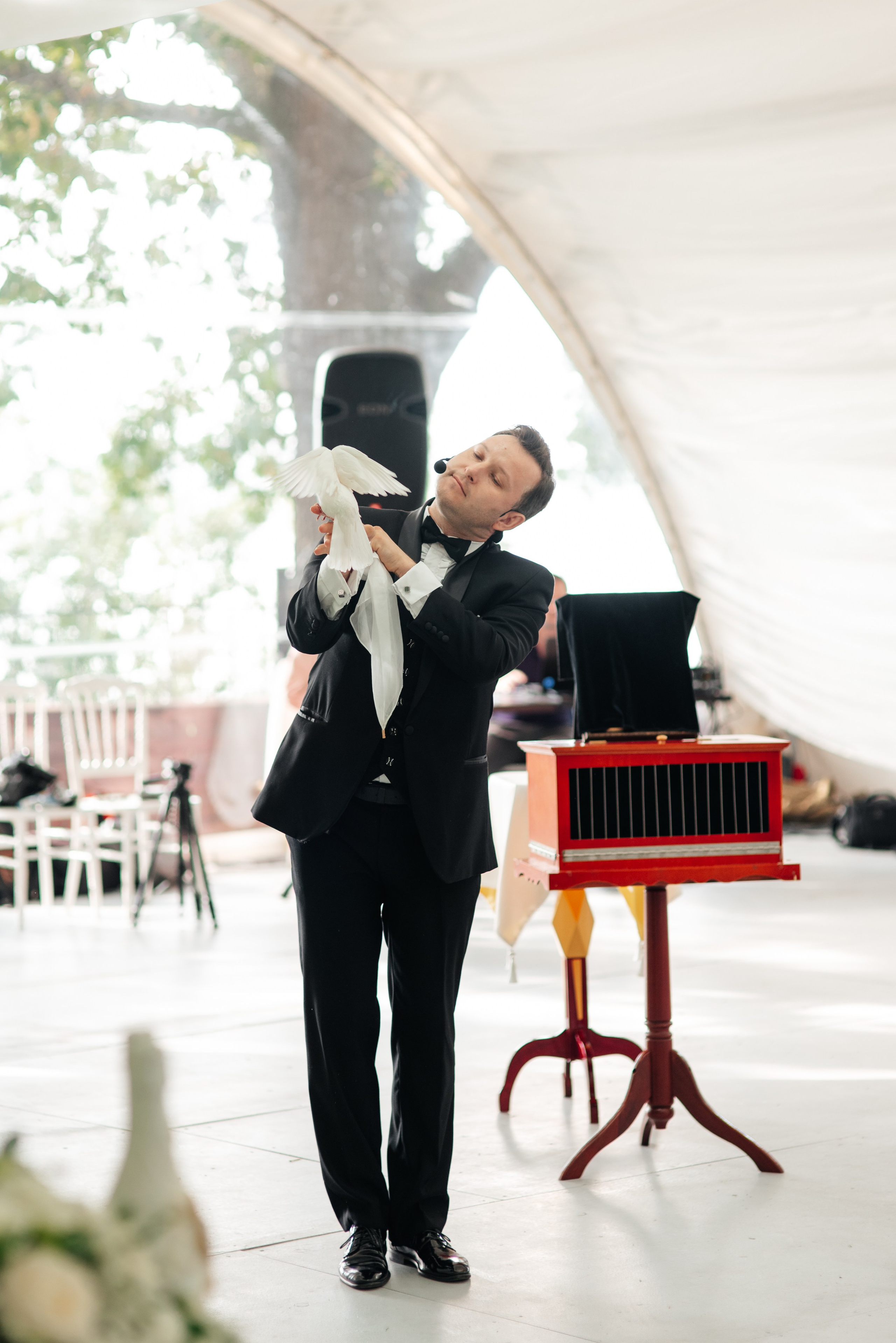 Свадьба Эдгара и Ксении (Волгоград, 17.09.2022). Свадебный и travel фотограф в Волгограде, Сочи, Домбае, Европе