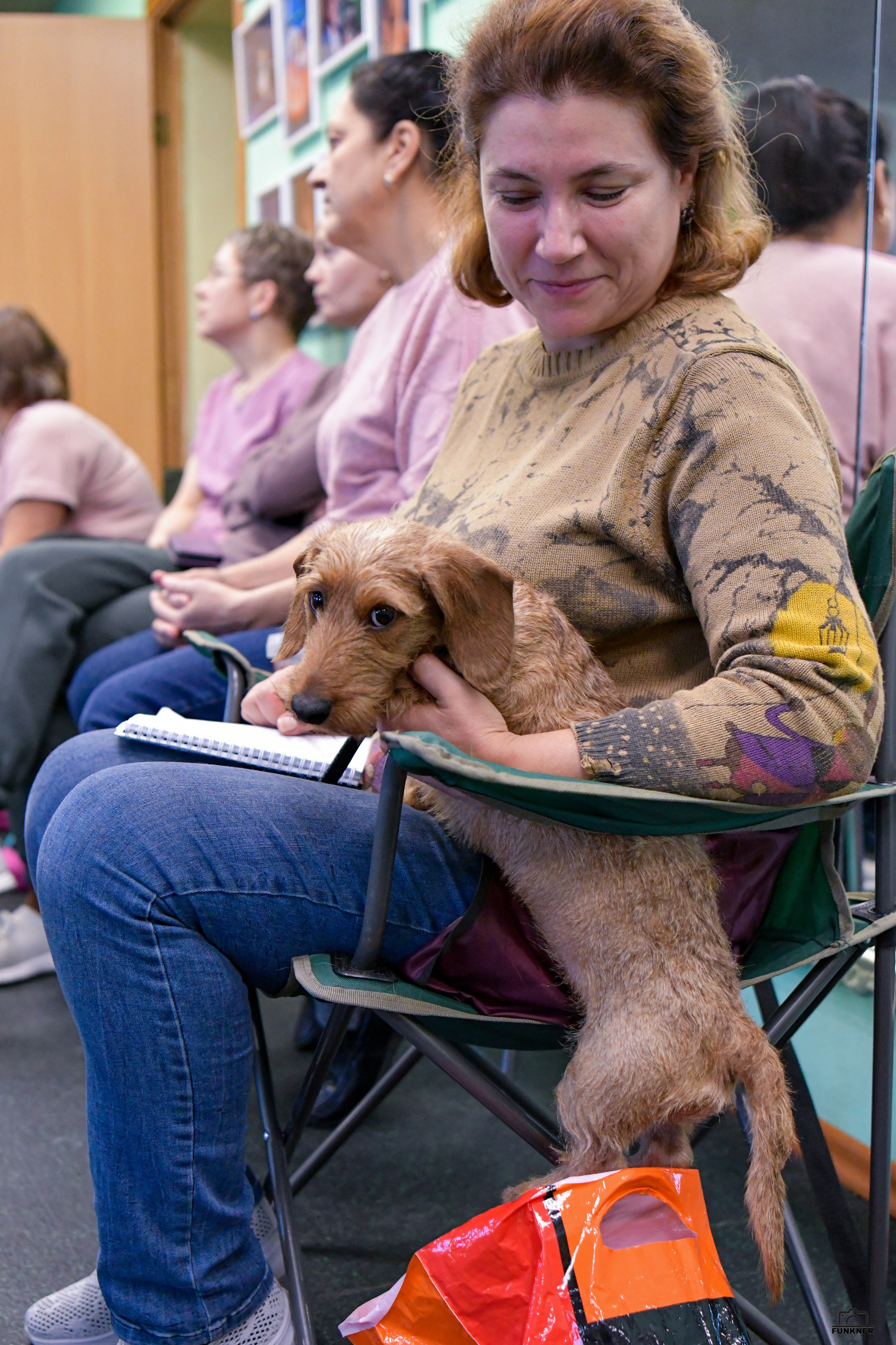 Кинологический клуб «Бодрый хвост». Свой взгляд через объектив
