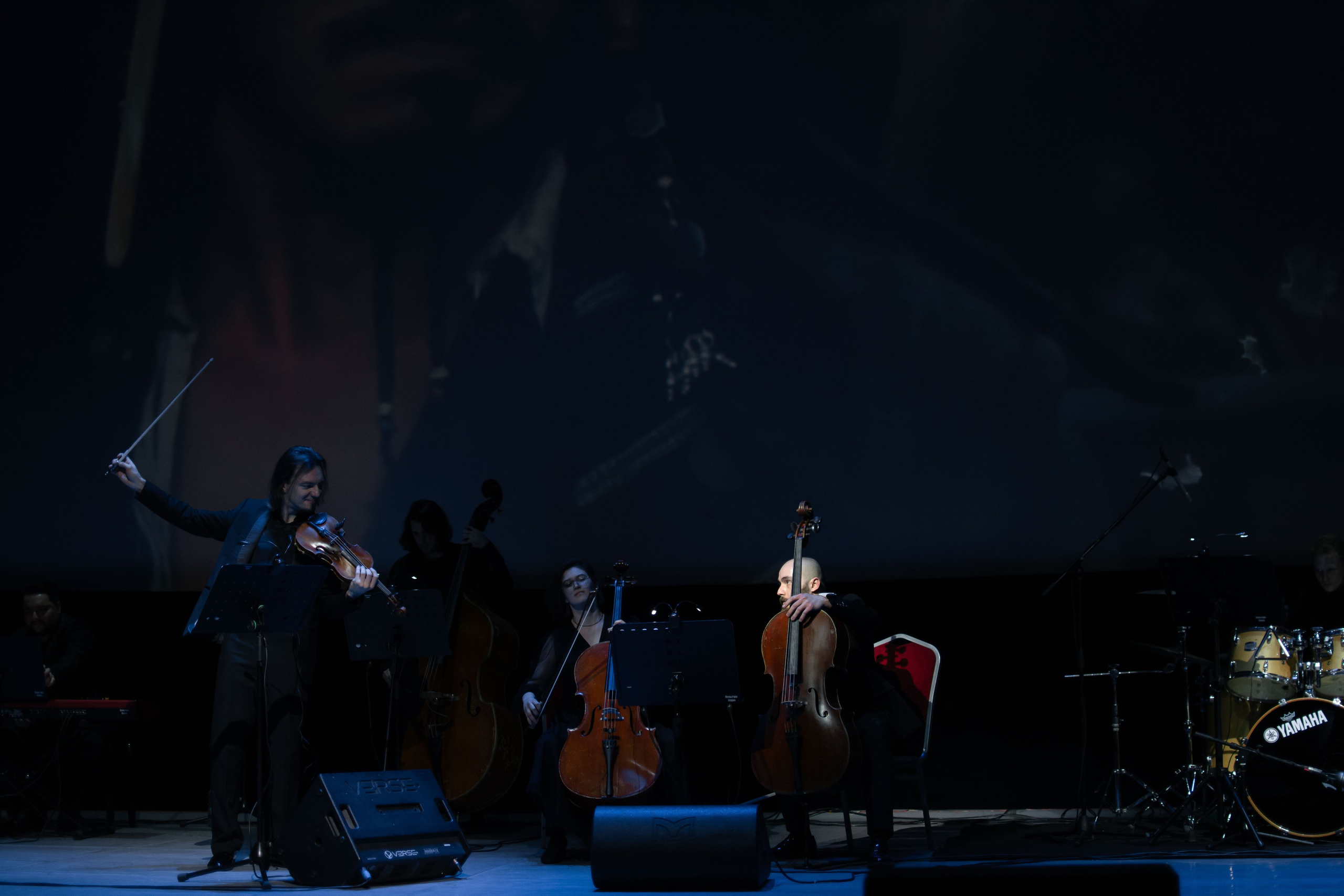 Концерт оркестра Cinematica. Репортажный фотограф в Новосибирске