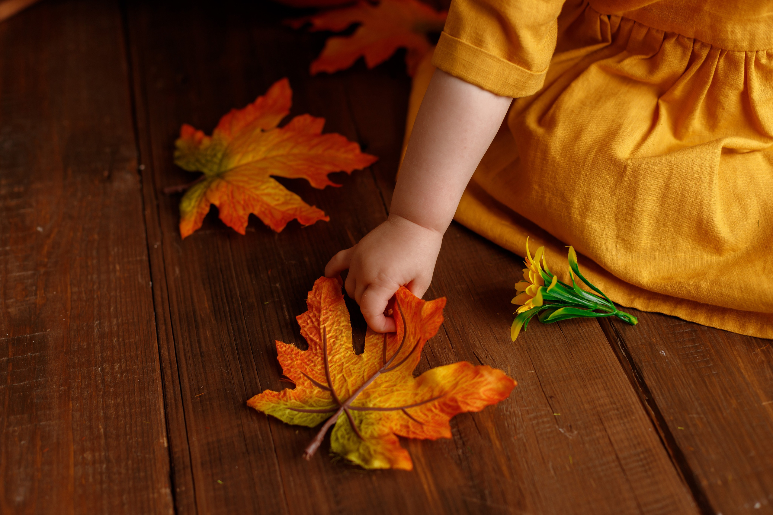 Осенний фотопроект. Фотограф новорожденных, детский фотограф в г. Оренбурге Екатерина Козлова