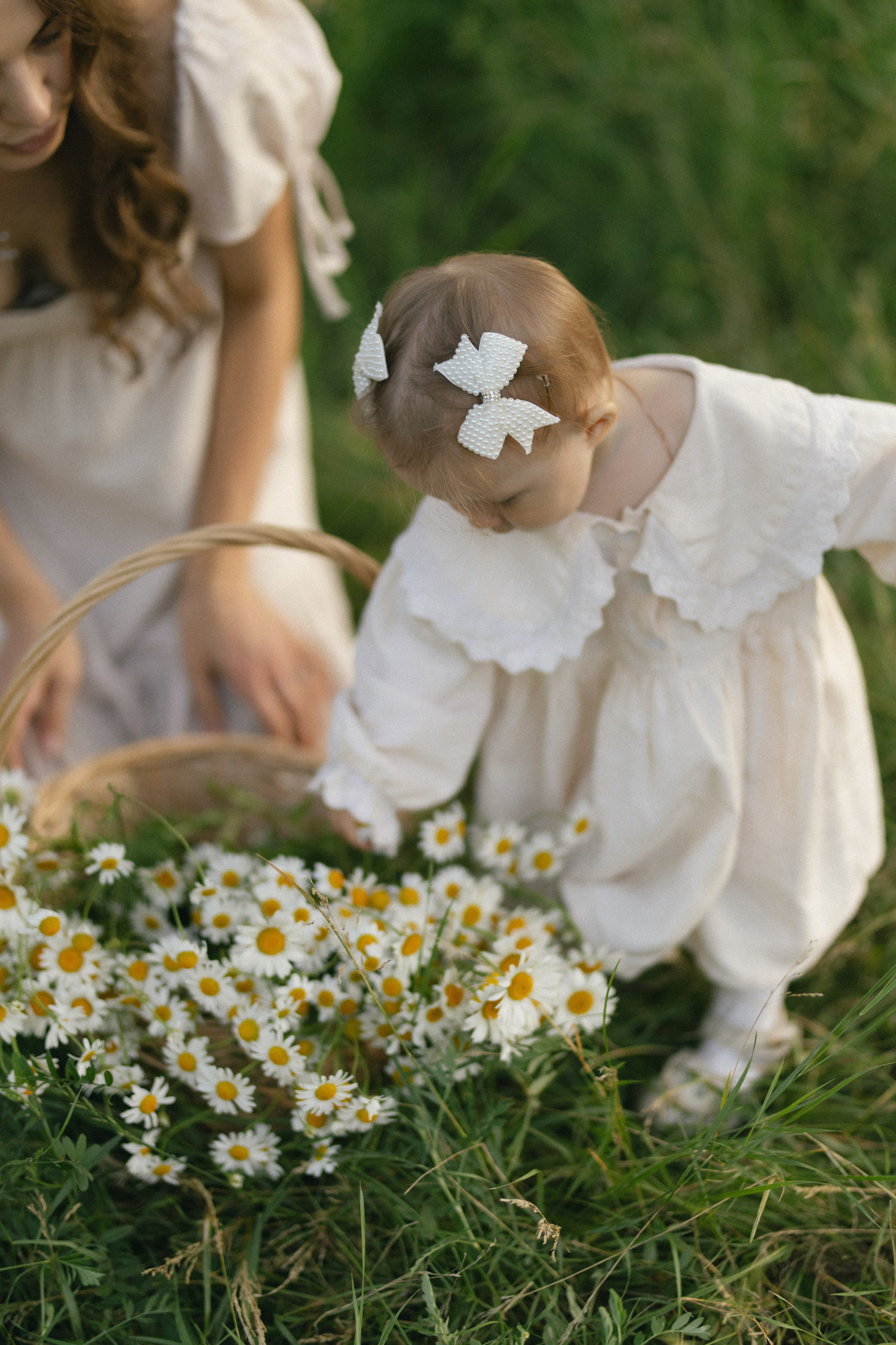 «РОМАШКИ». Maria Startseva Photo