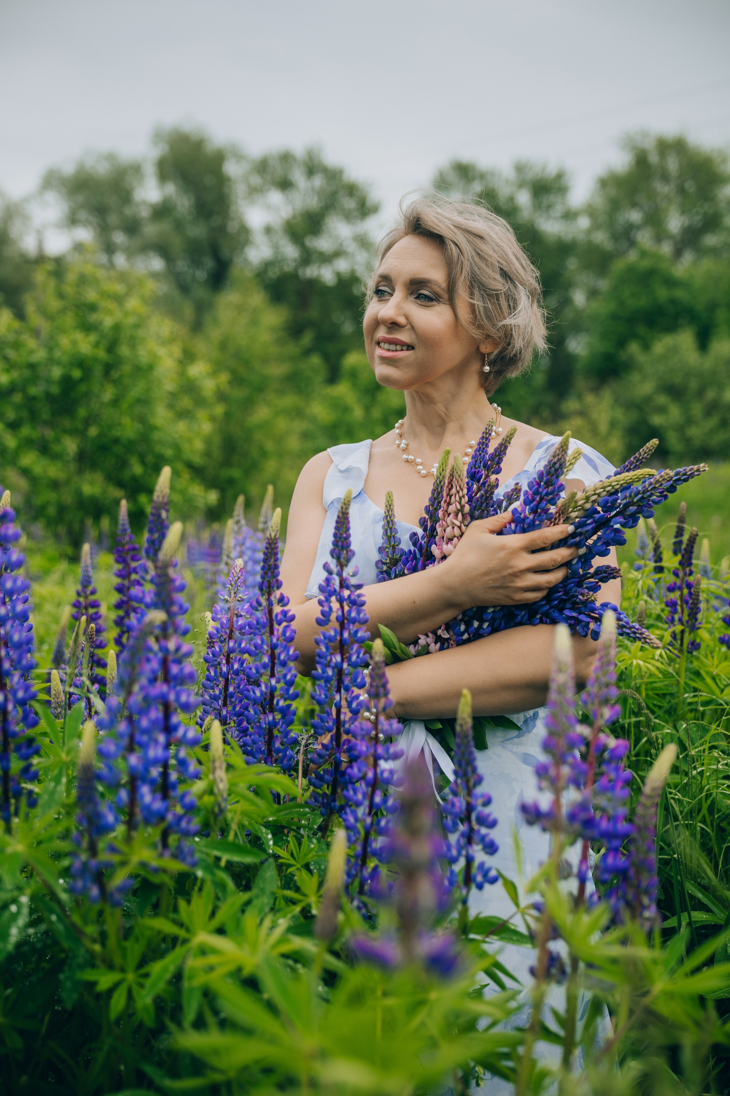 Люпины. Фотограф Александра Кузуб Санкт-Петербург