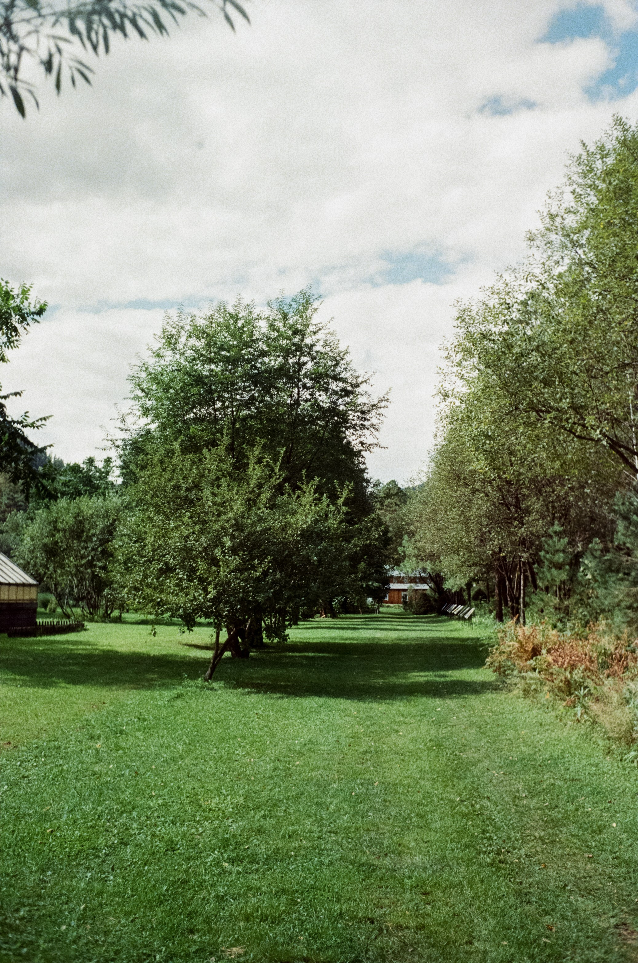 Горно-алтайский ботанический сад, база Кедровый остров / 27 августа 2024 года