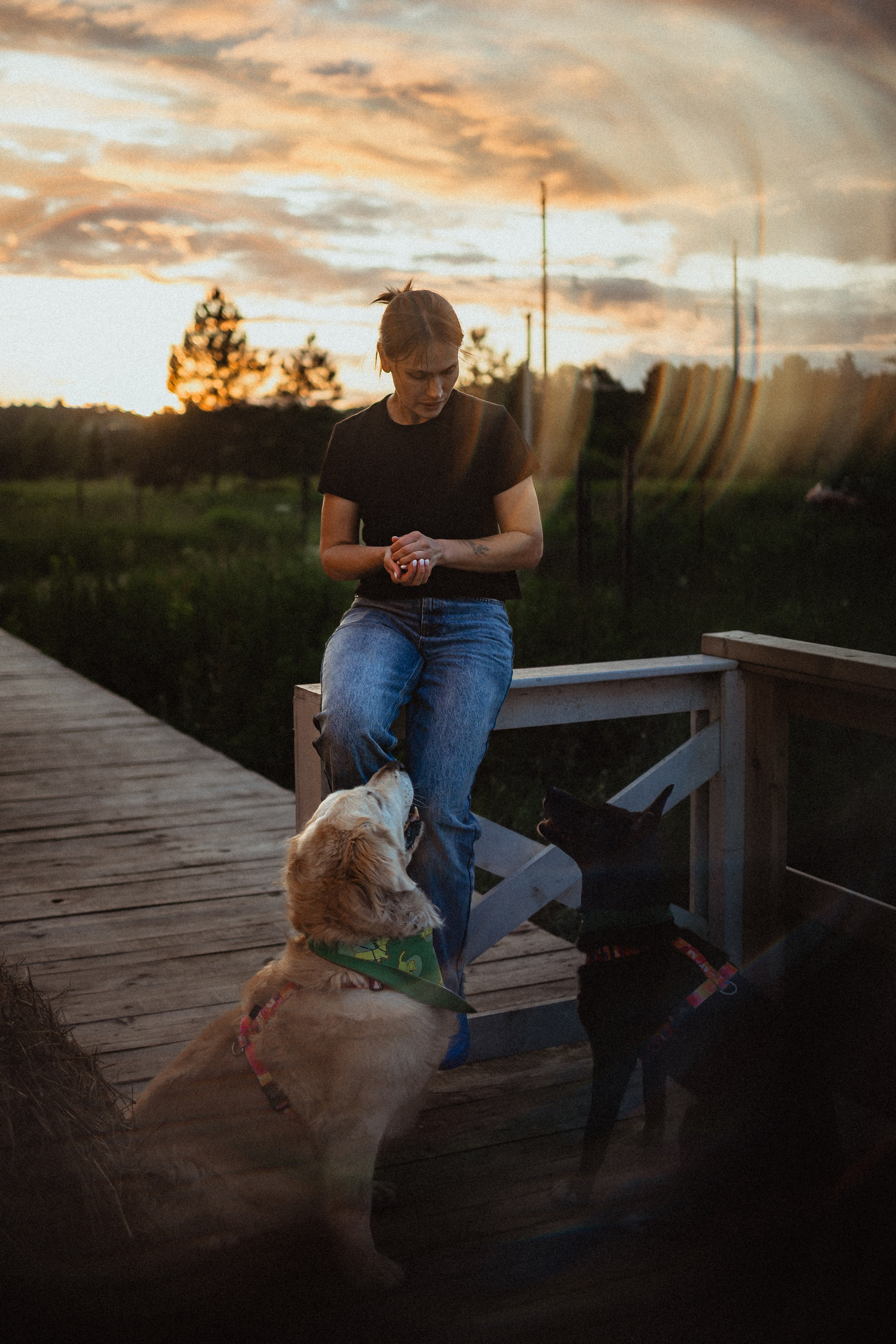 Выездной дог-тренинг от школы «Шерсть имею»
