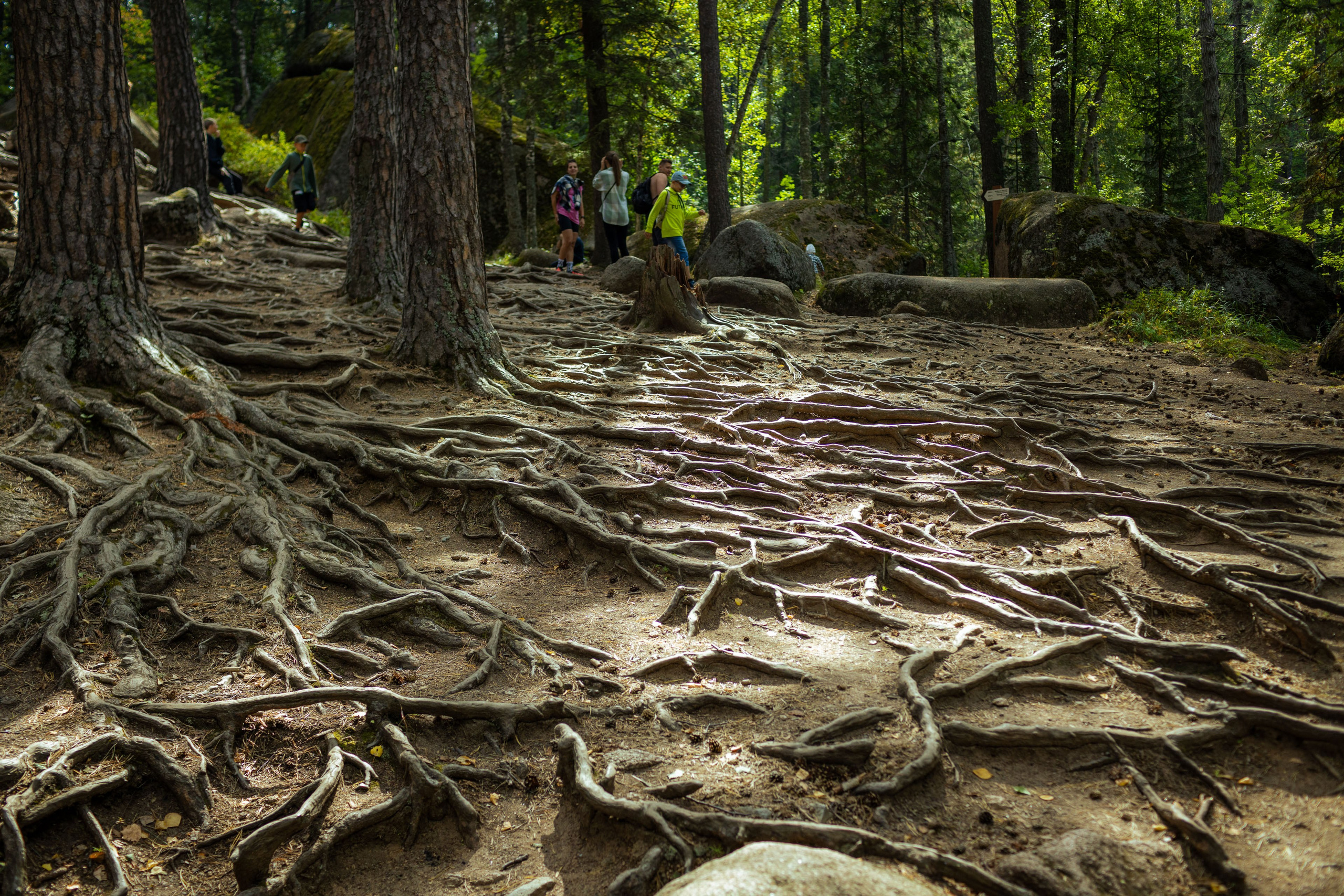 Красноярск (осень 2023). Фотограф Виноградов Константин