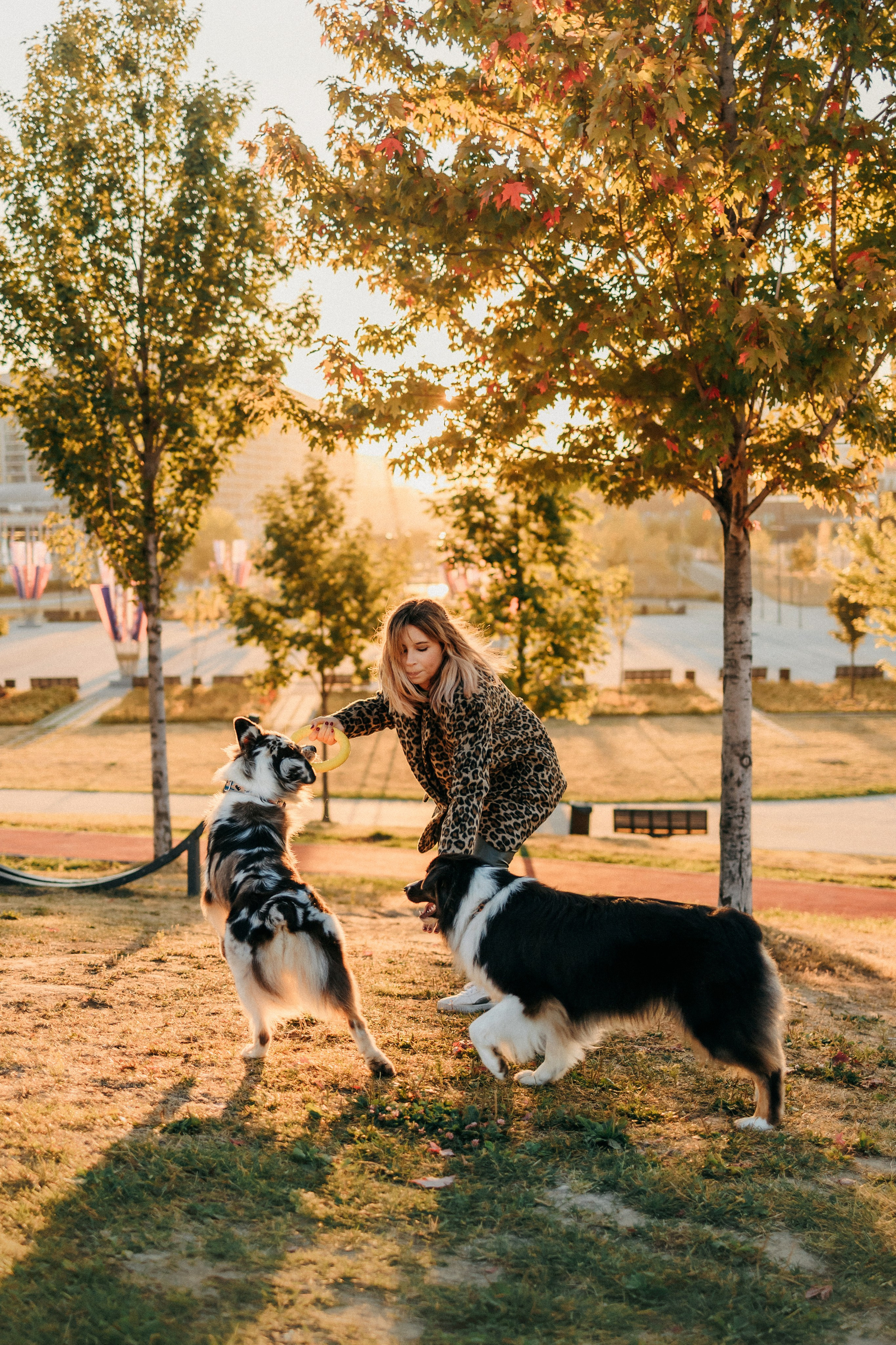 Аня, Чарли и Ева. Фотограф-анималист Елена Радченко, Москва