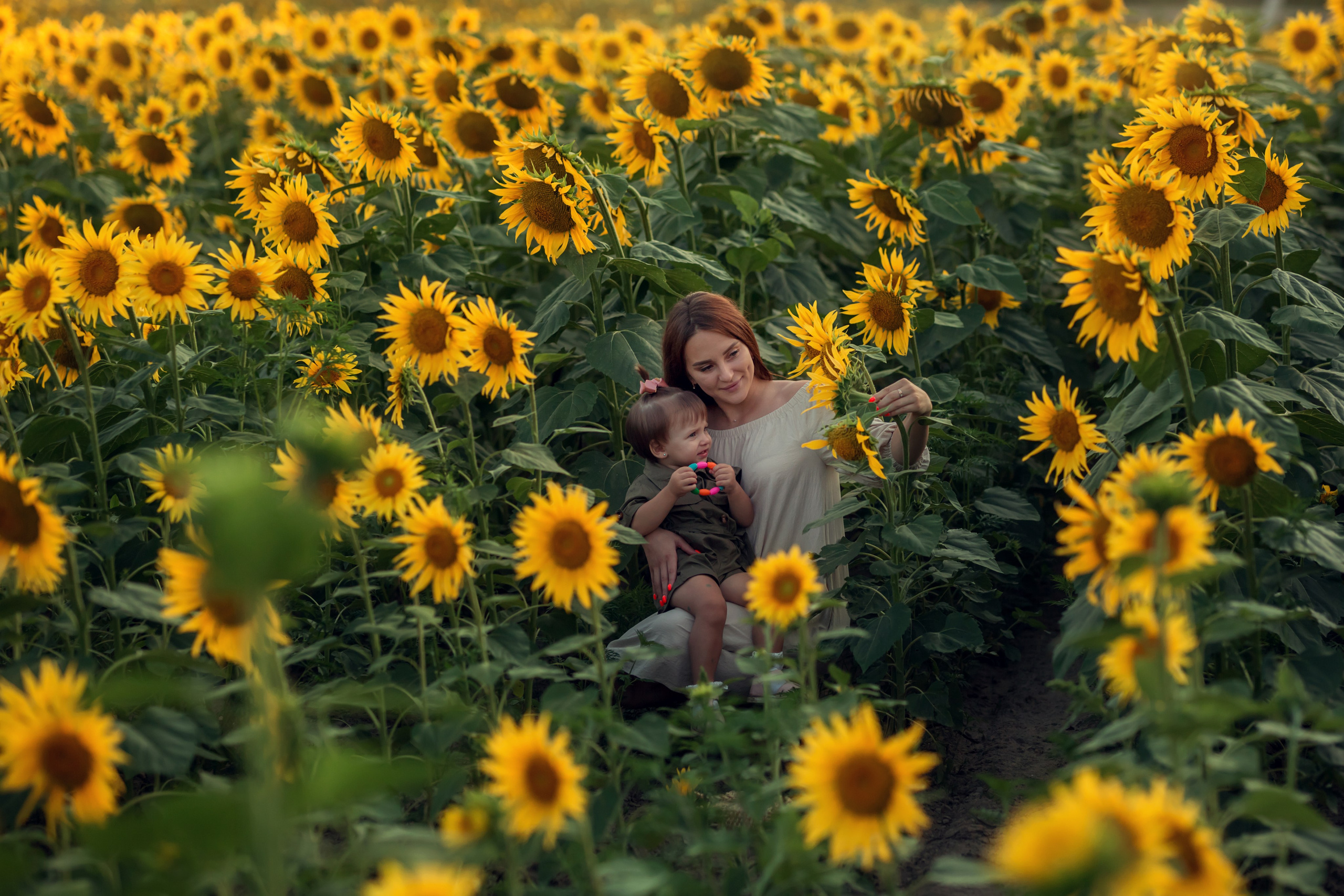 Подсолнухи. Семейный и детский фотограф Екатерина Савёлова