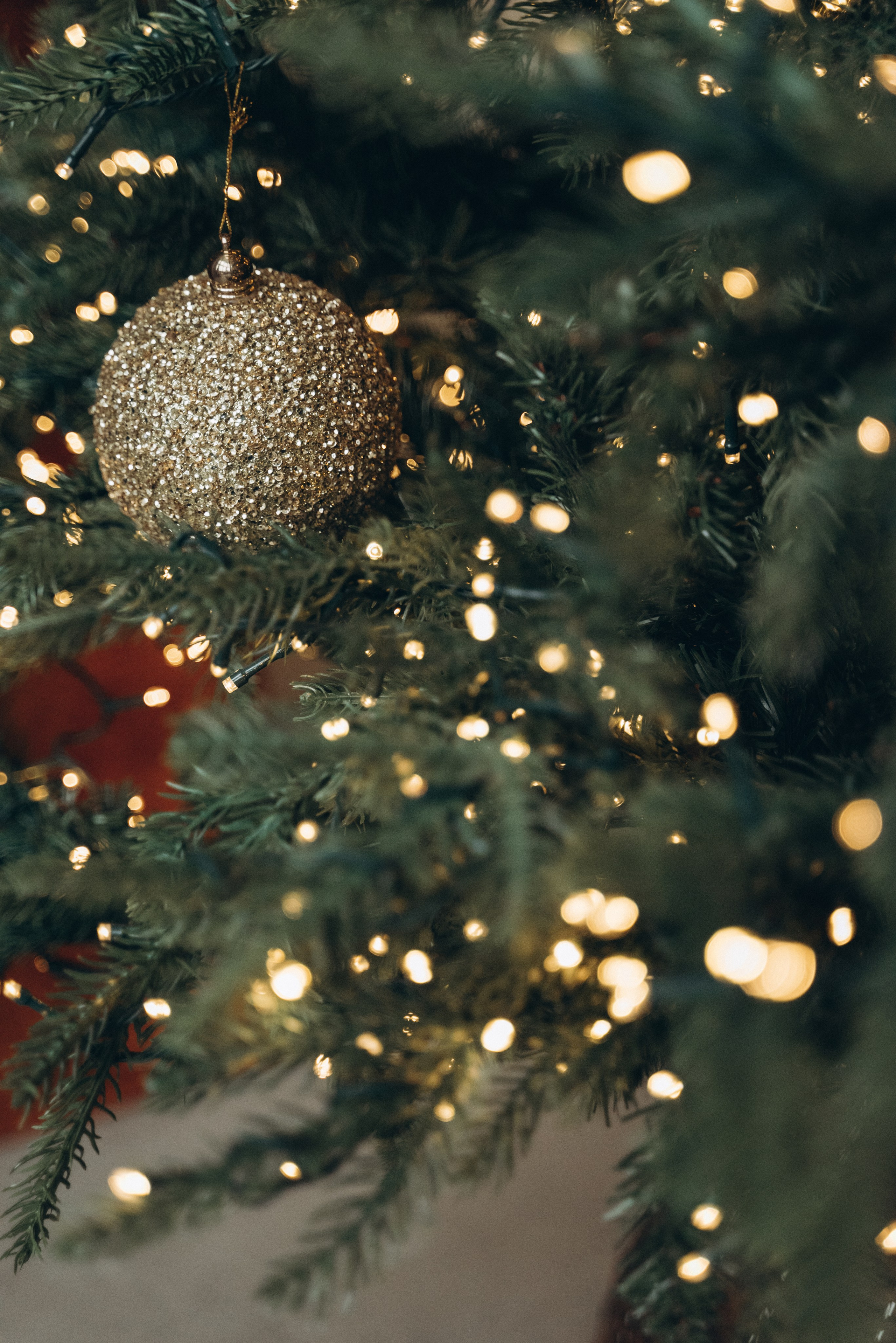 Новогодняя для Наташи. Семейный фотограф в Минске Дарья Дреко