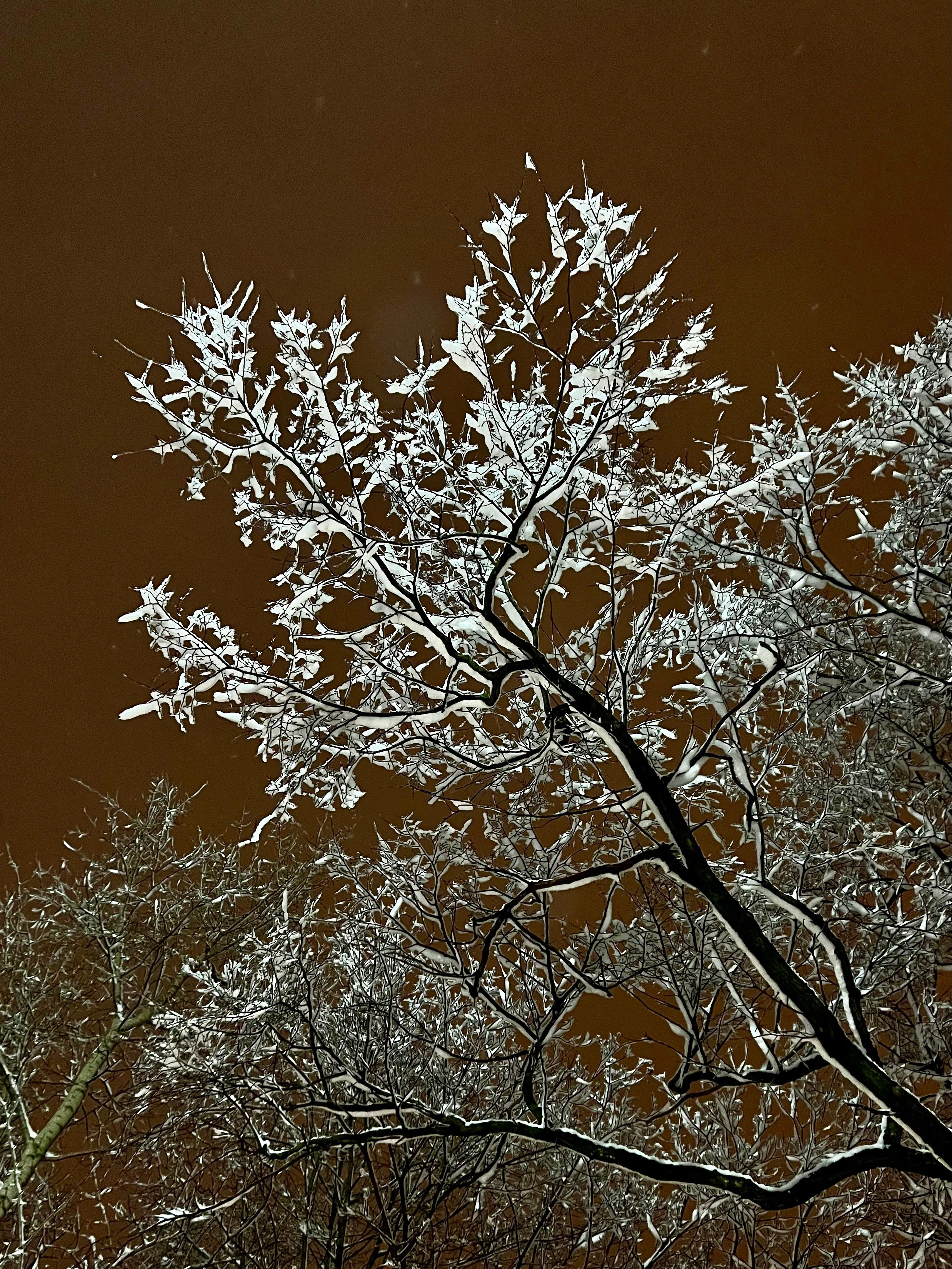 Fragments. Artem Khusainov