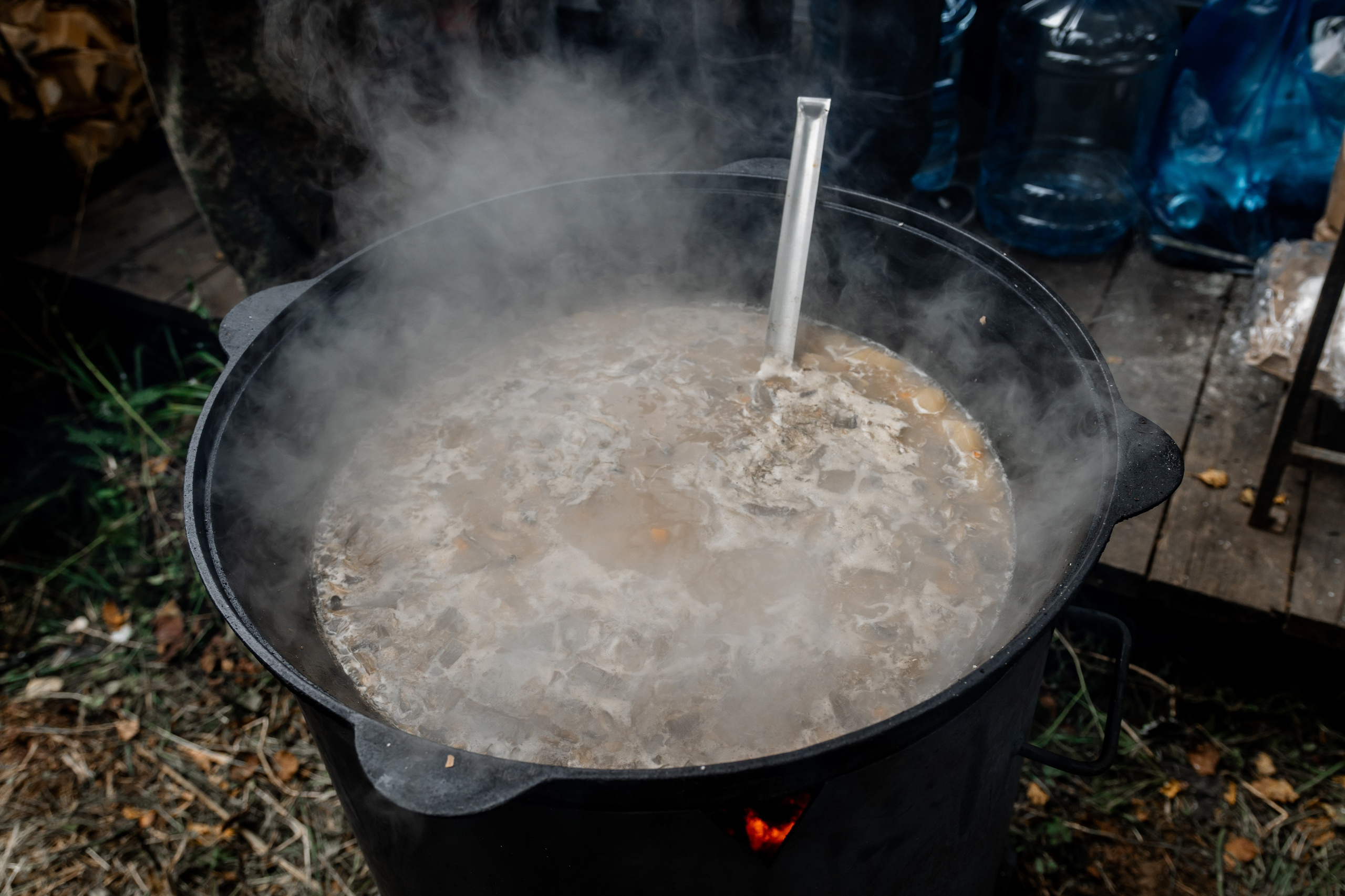 Дог-треккинг