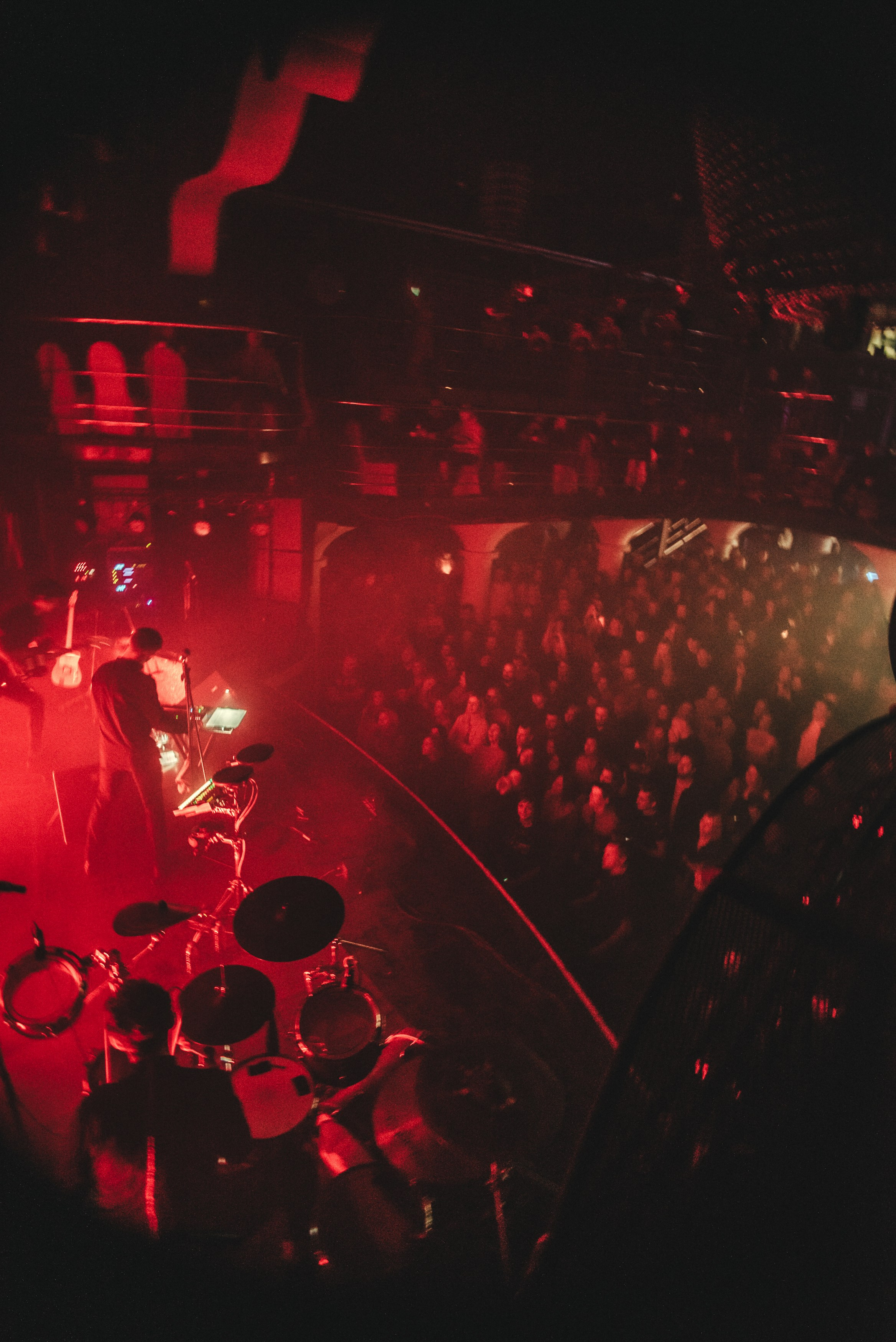 Дельфин | Gaudi. Контент фотограф Илья Урс