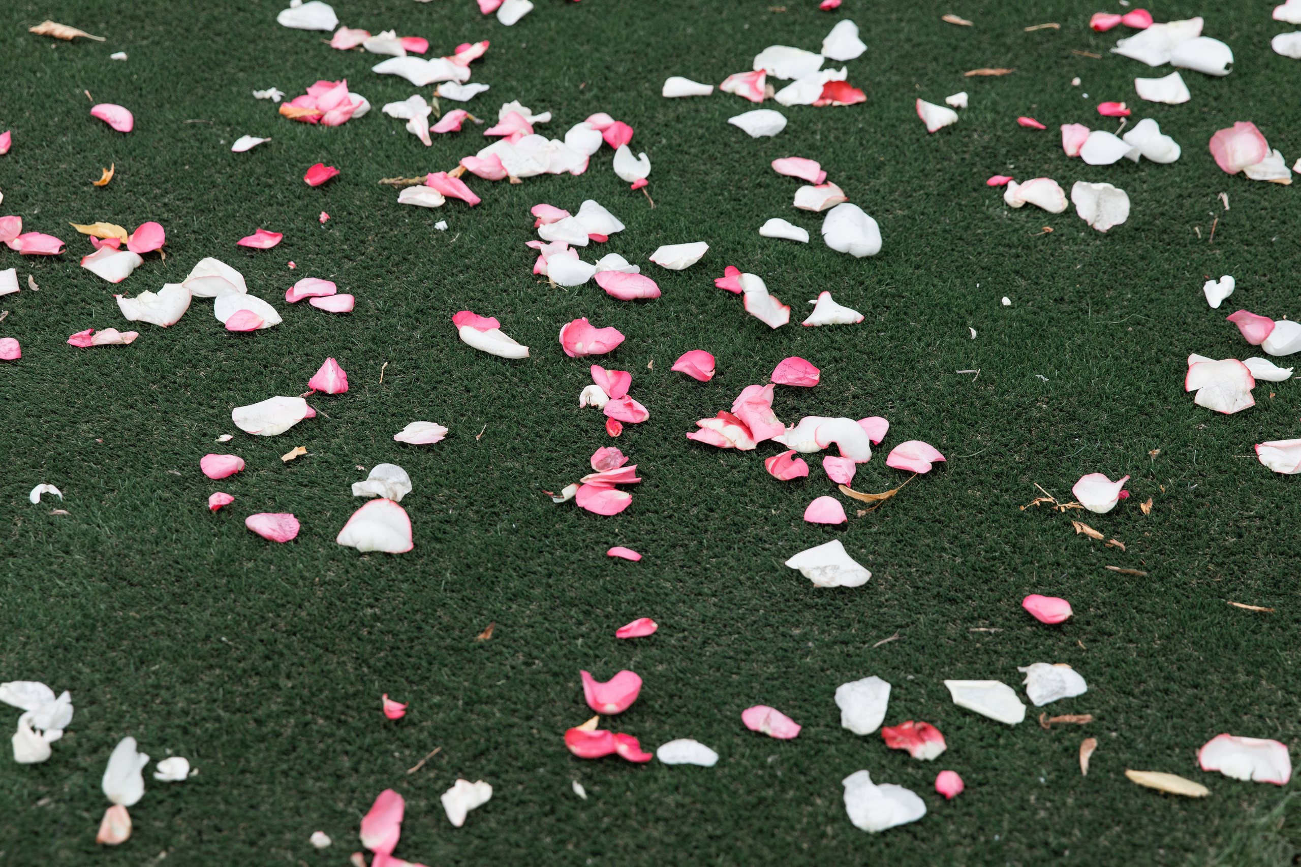 Armenia + Mexico = LOVE. Студийный и свадебный фотограф в Москве Айк Саркисян