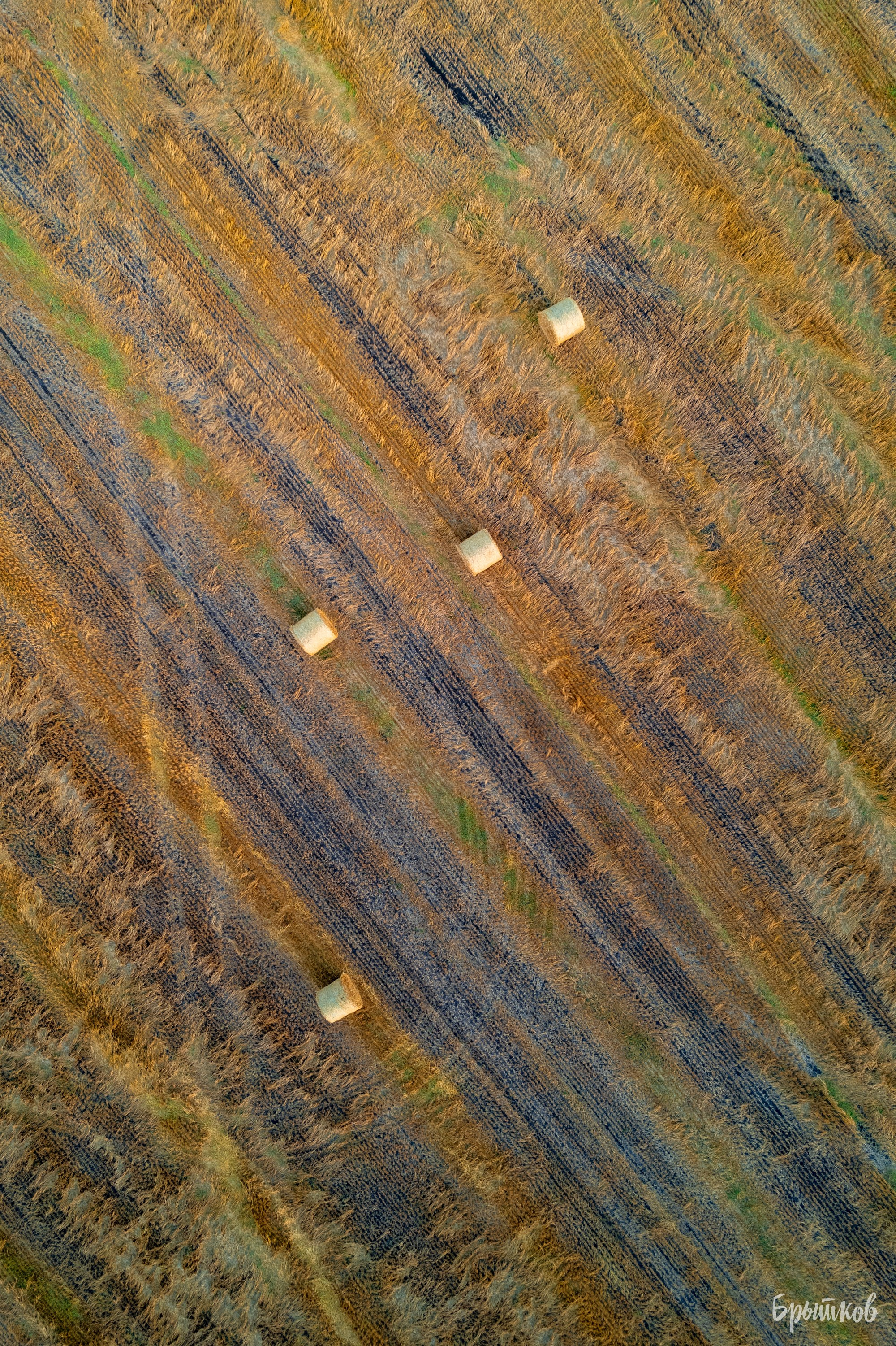 Поля. Сено в кругляшах. Николай Брытков — фотограф в Туле