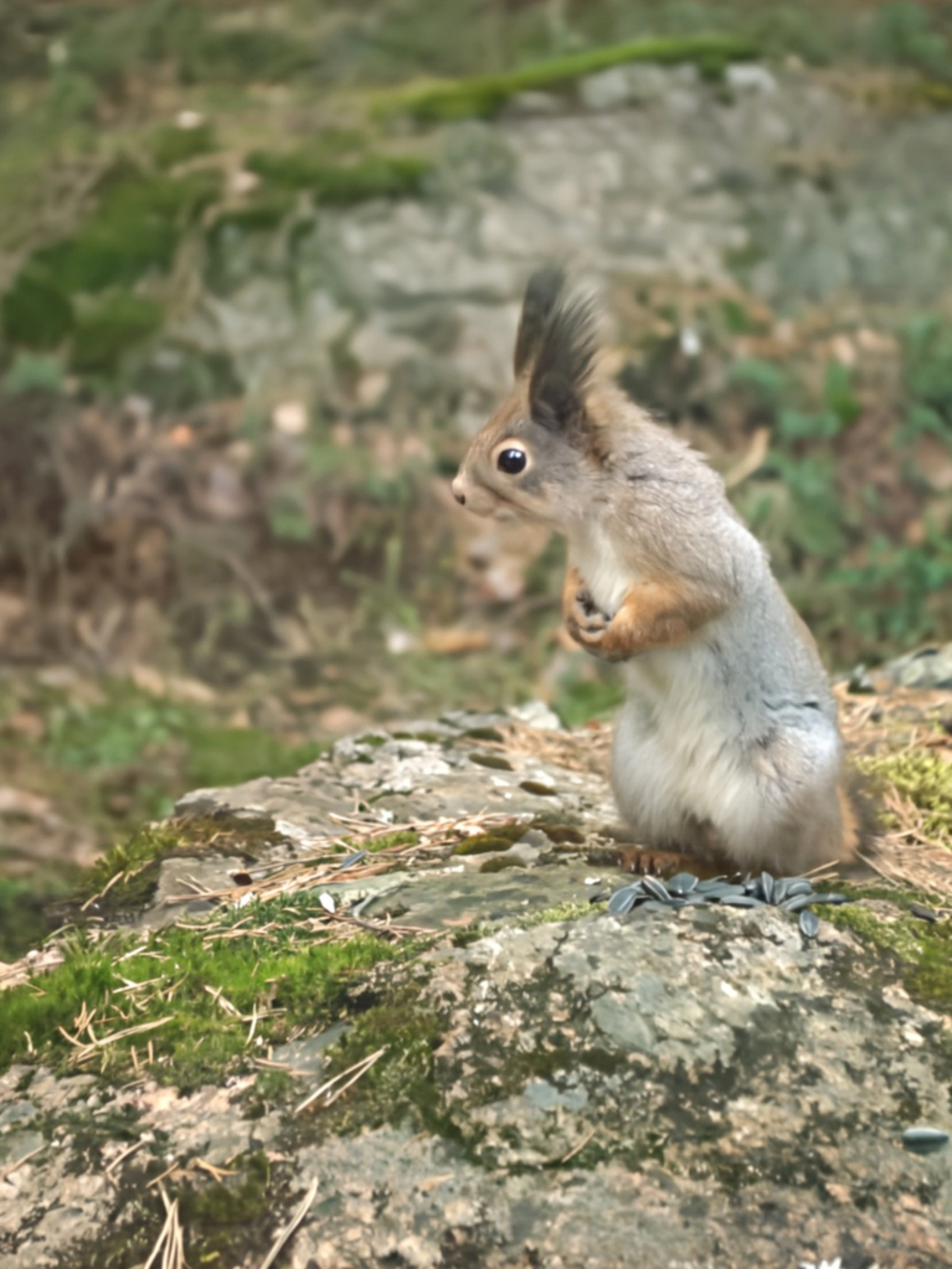 Nature. Надежда Козлова, фотограф, Санкт — Петербург