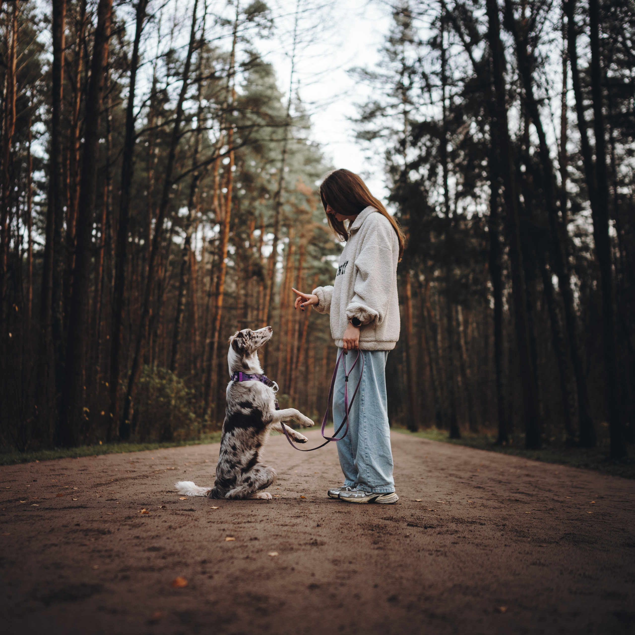 Настя, Максим, Орео и Норд. Семейный фотограф анималист Ананьева Мария — Москва
