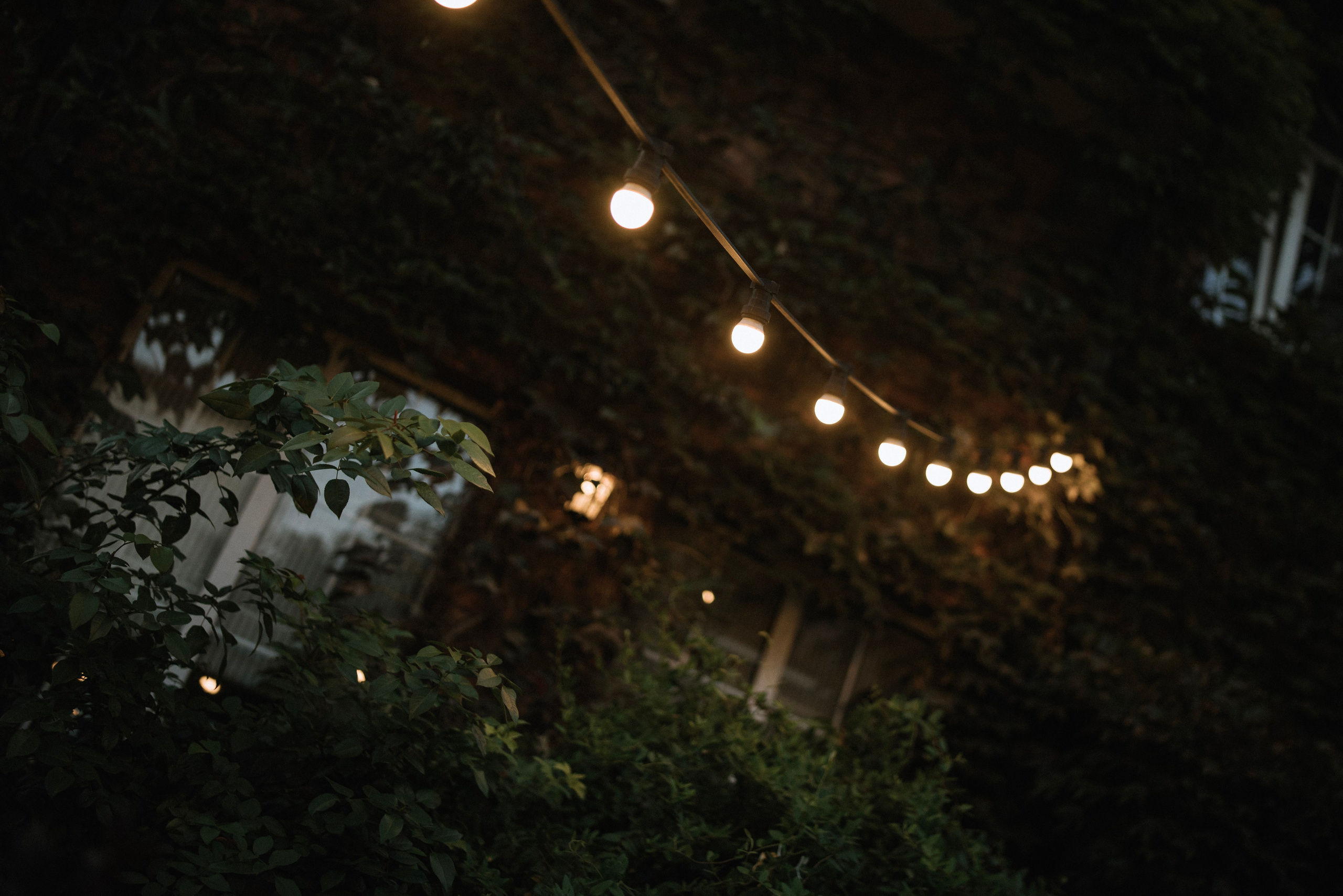 Никита и Оксана. Фотограф Костикова Анастасия Ростов-на-Дону