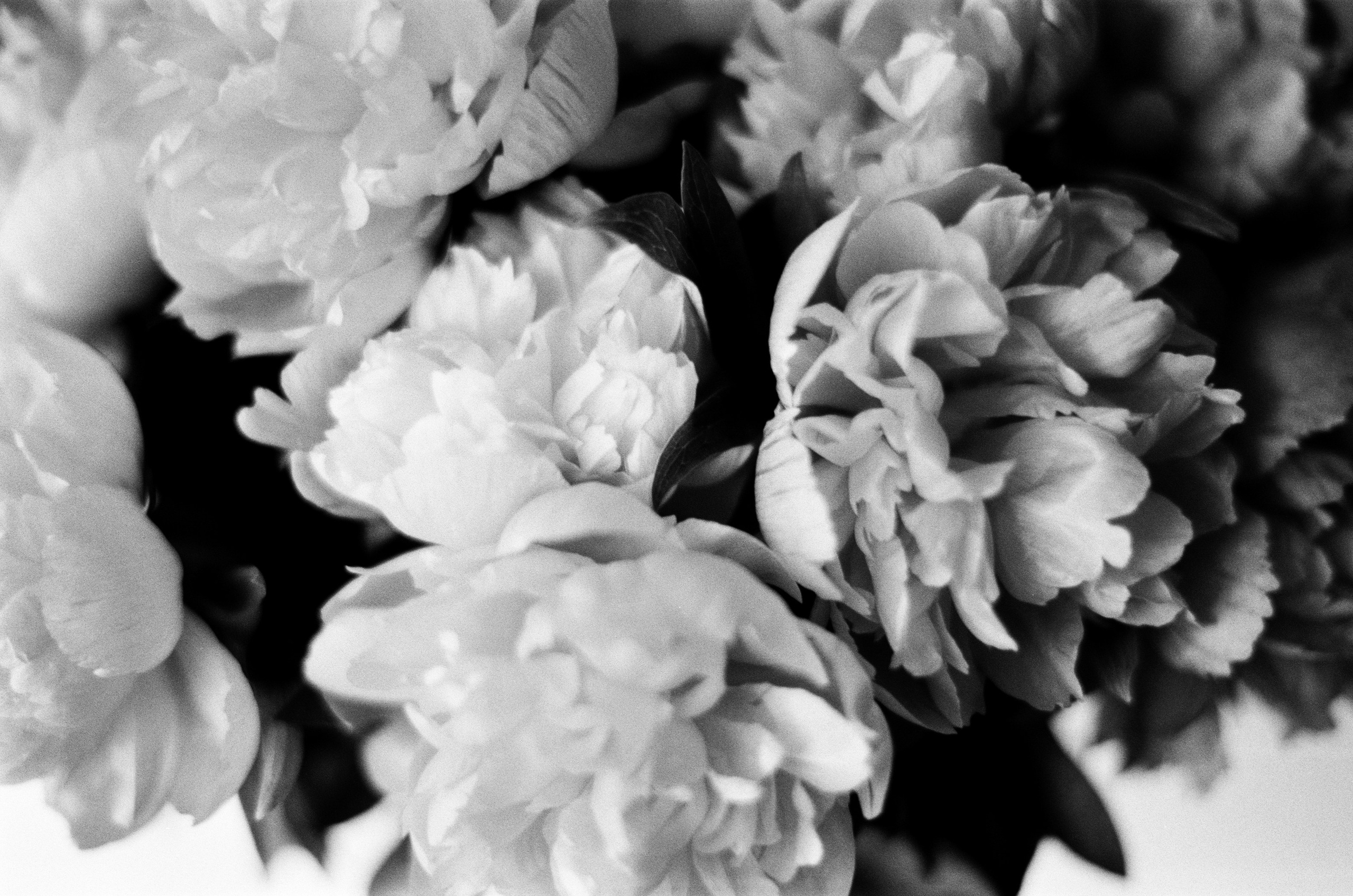 Sparks // ukraine, crimea. EVER EXPOSED