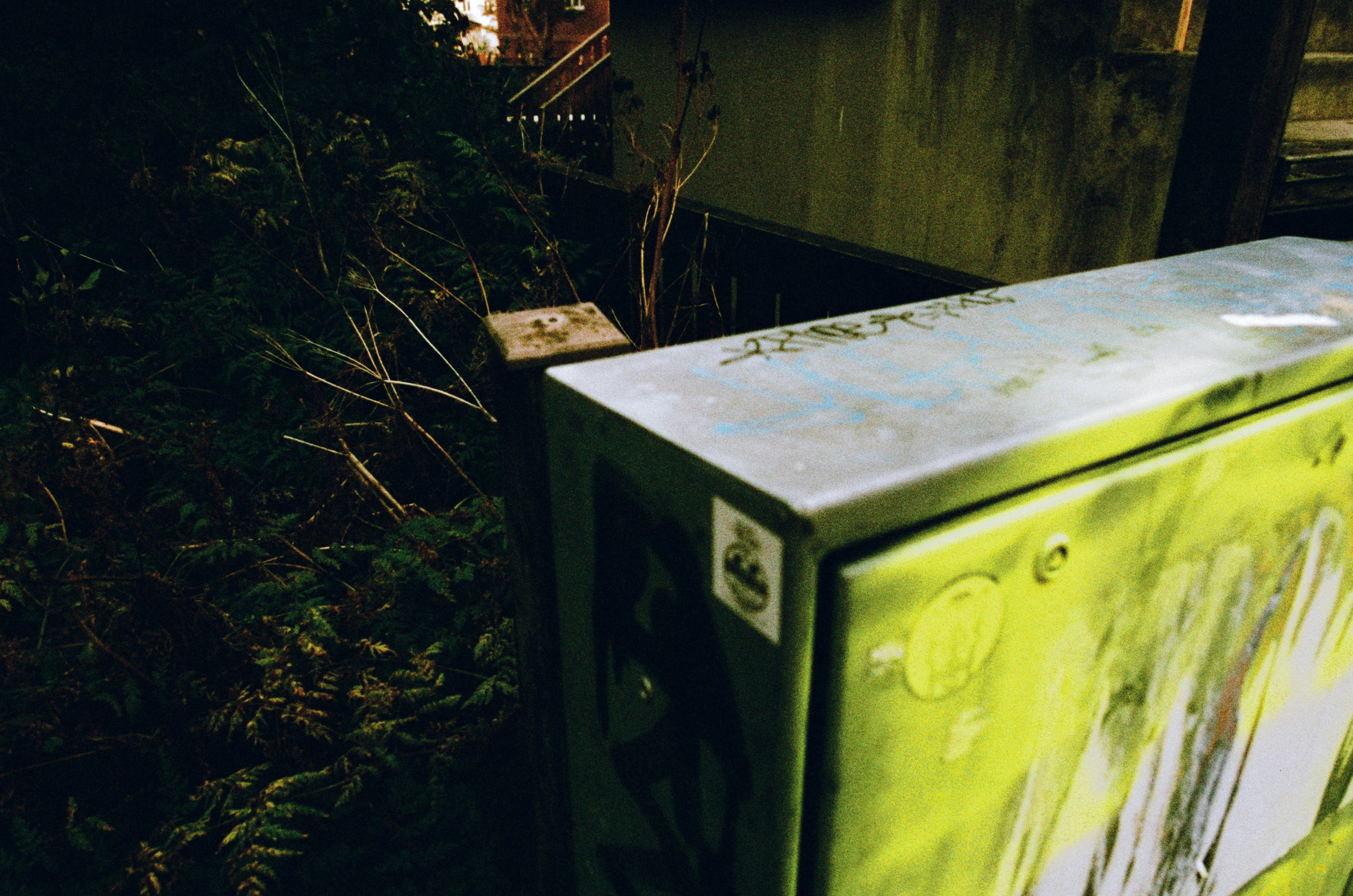 Run no more // iceland, reykjavik. EVER EXPOSED