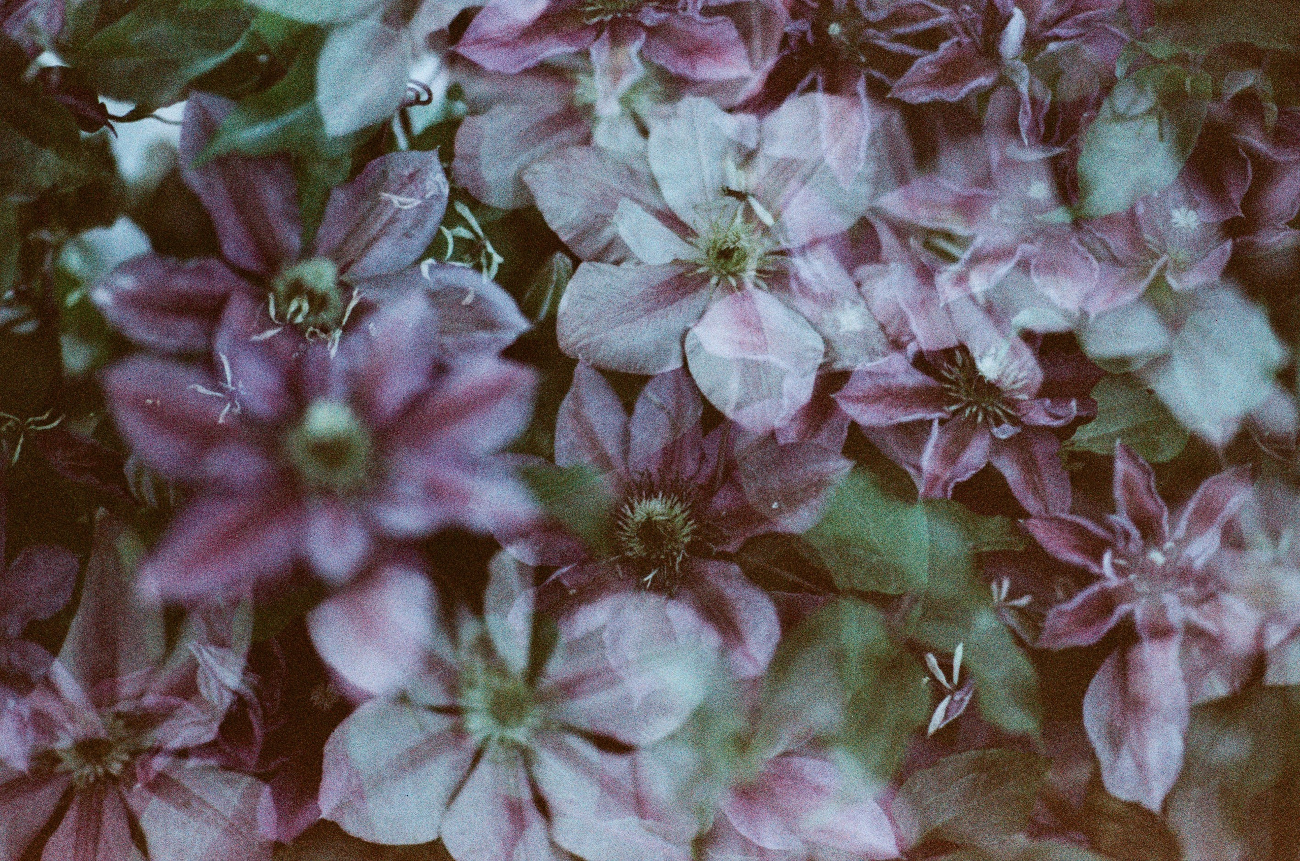 Pain shopping // ukraine, crimea. EVER EXPOSED