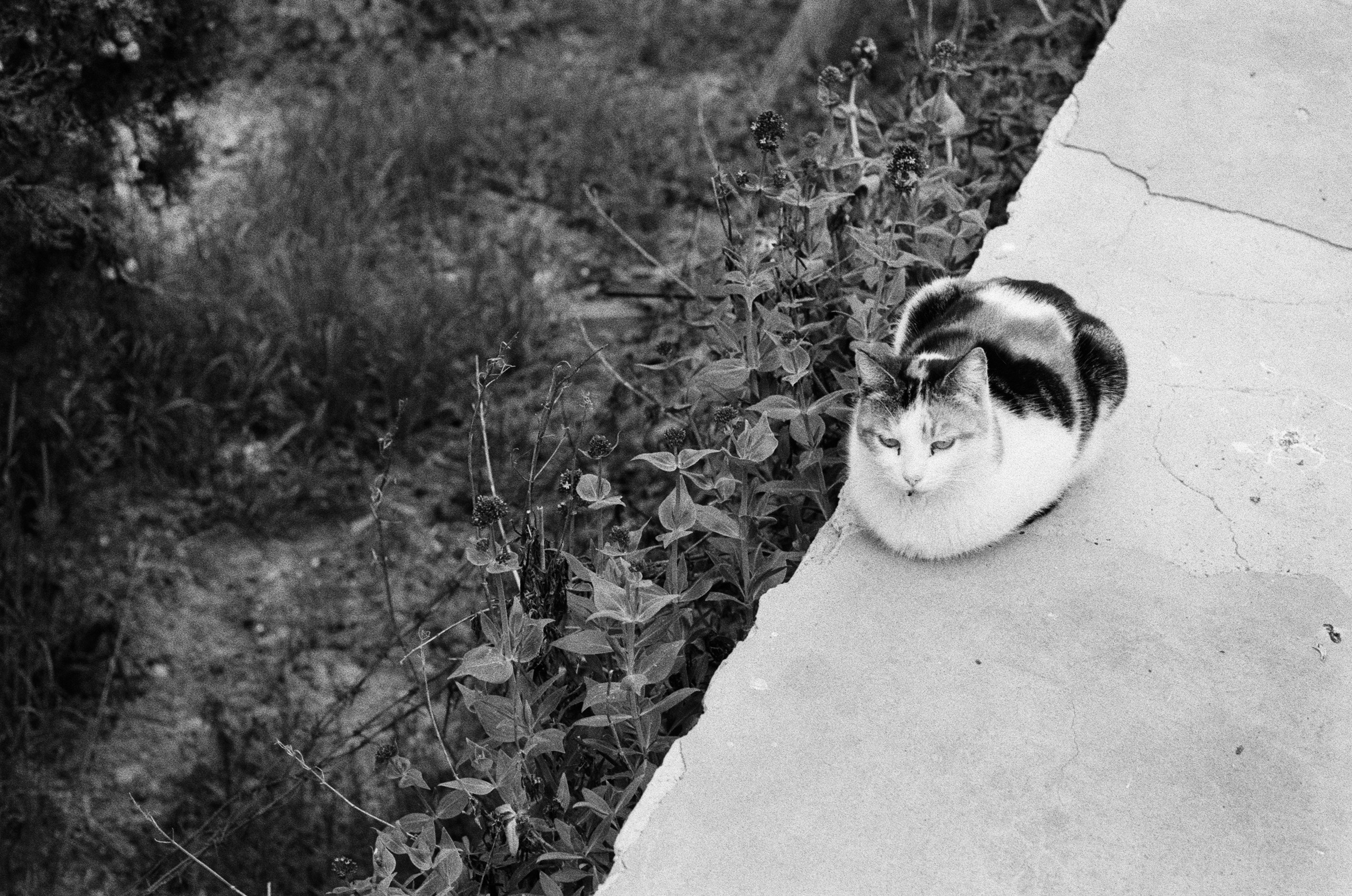 Oblomki chuvstv // ukraine, crimea IV. EVER EXPOSED