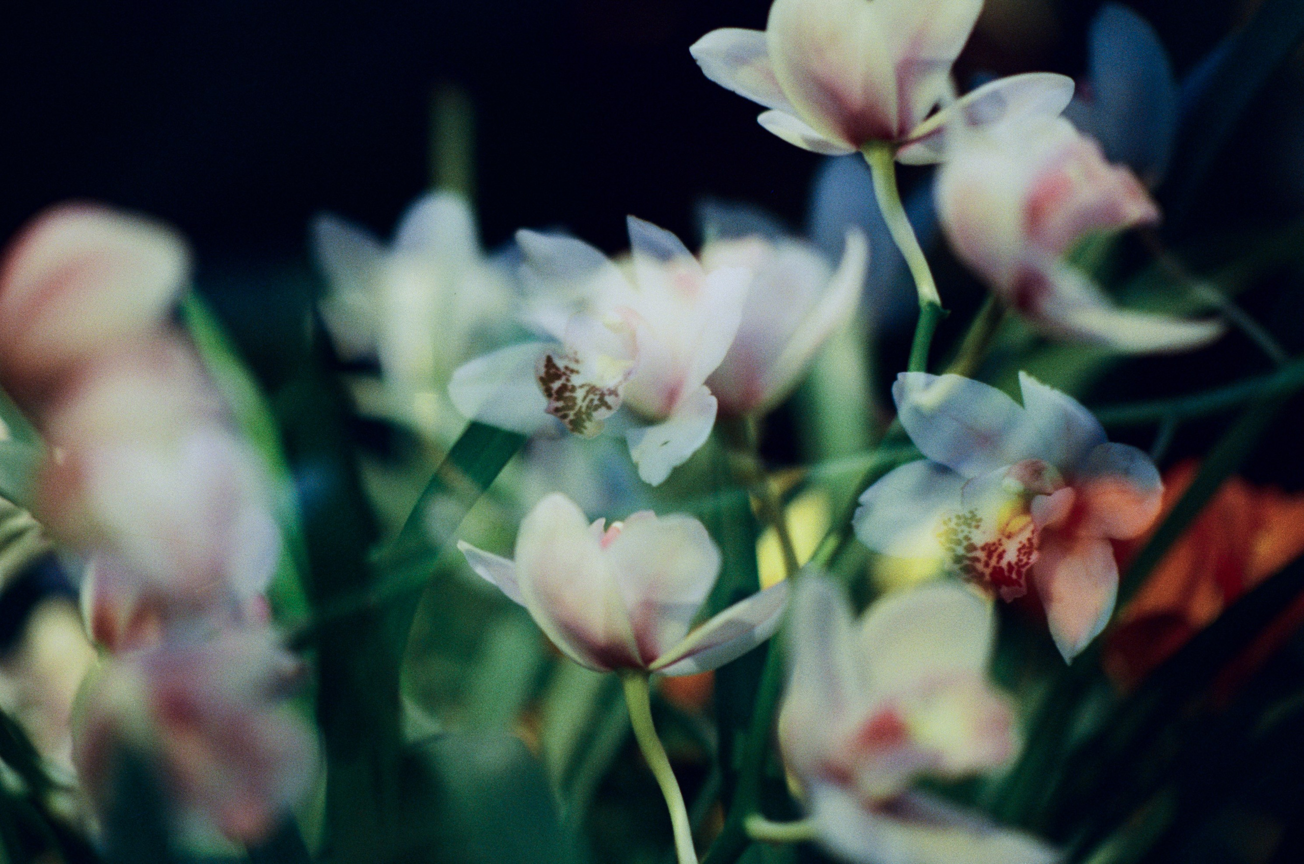 If i get high III. EVER EXPOSED