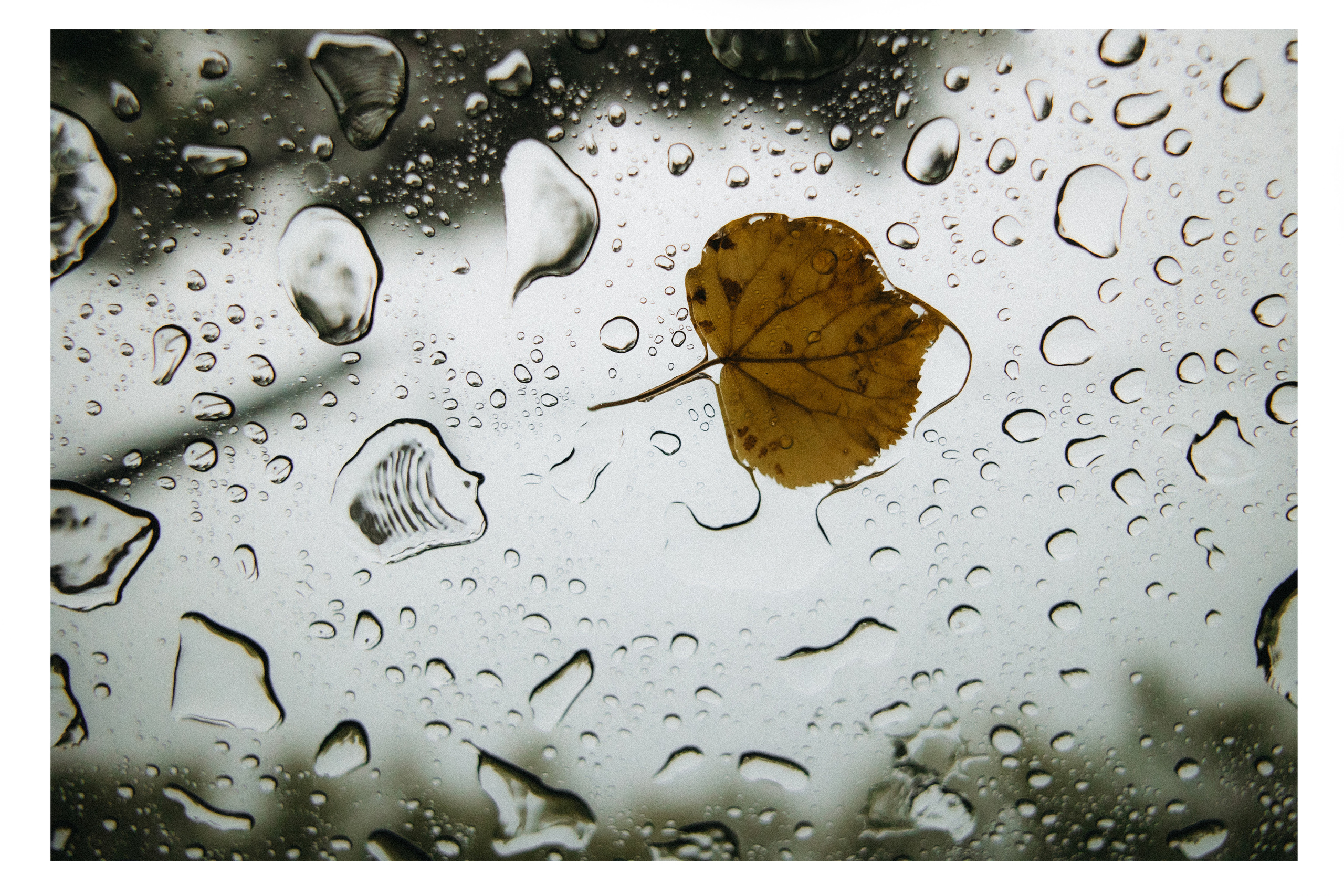 N | K. Anna Fridenberg | wedding photographer