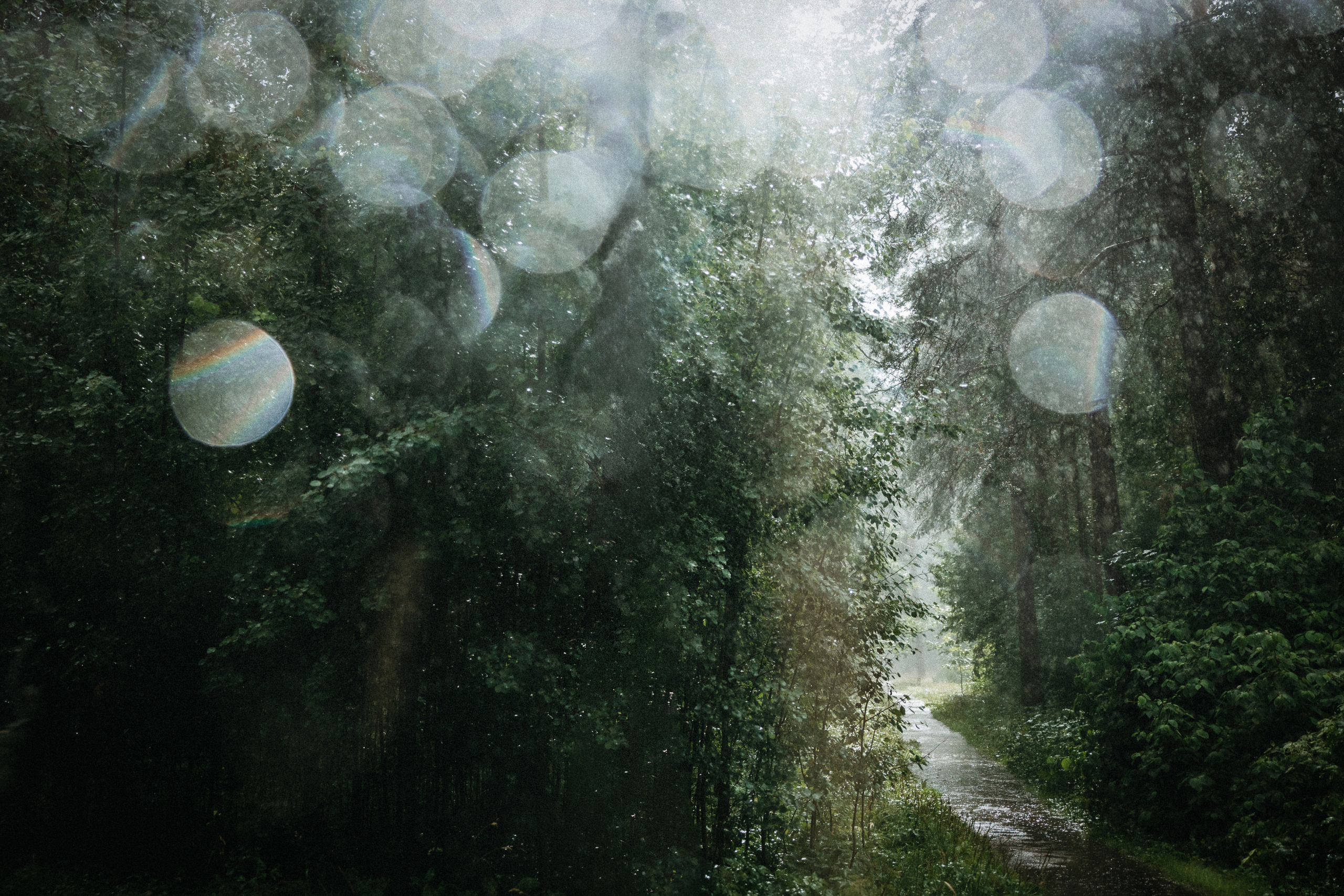 N | K. Anna Fridenberg | wedding photographer