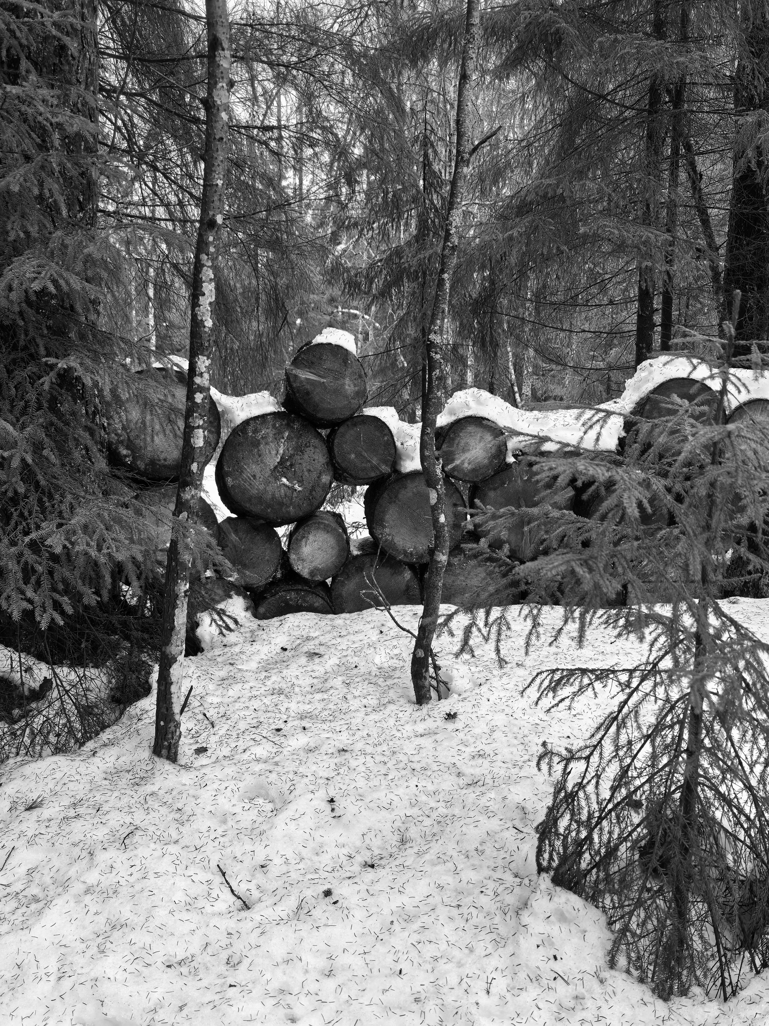 Дом в Карелии. PINEHOUSE. Семейная студия дизайна интерьера Антона и Елены Базалийских