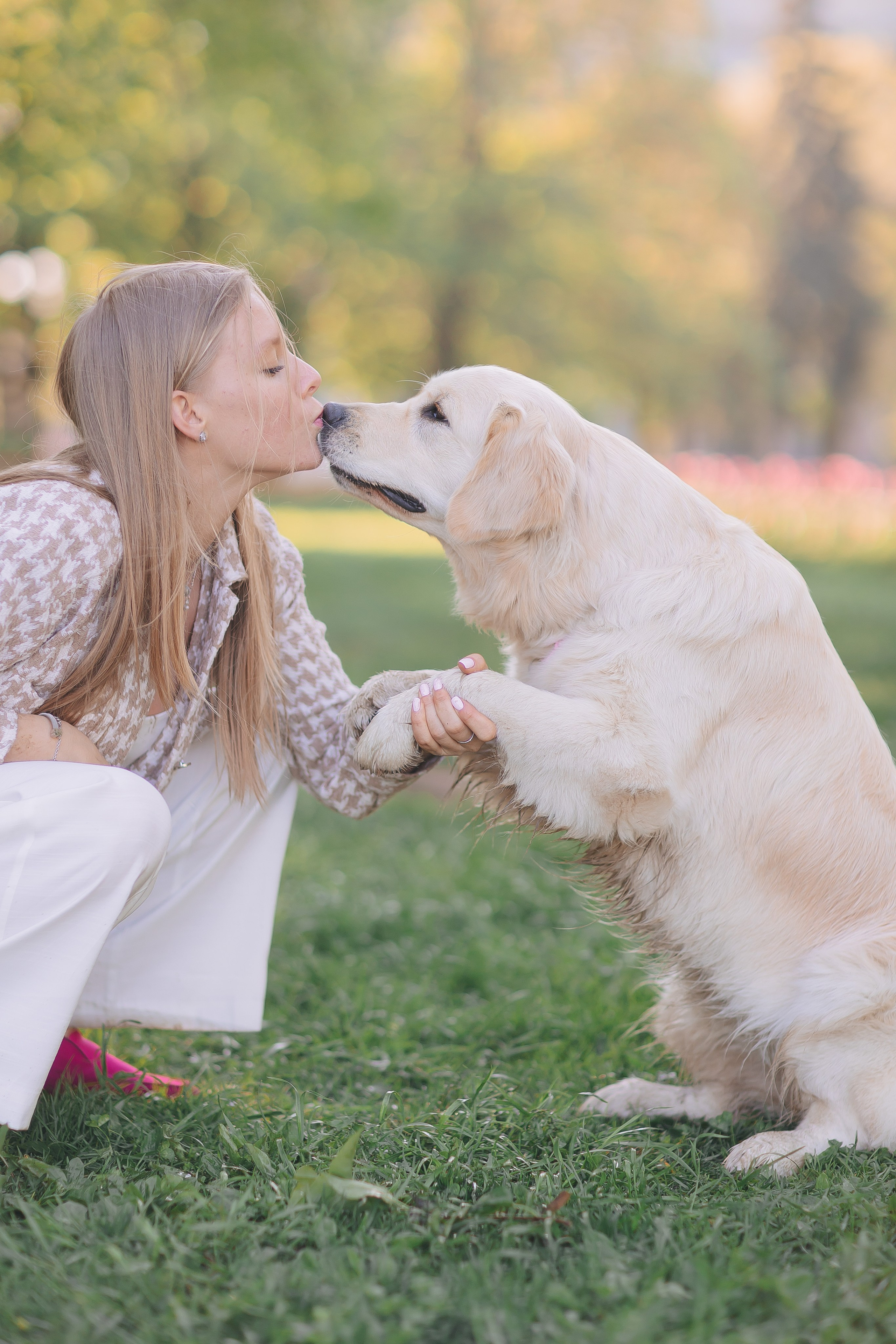 Золотистый ретривер Мона, Питер. Свадебный и женский фотограф