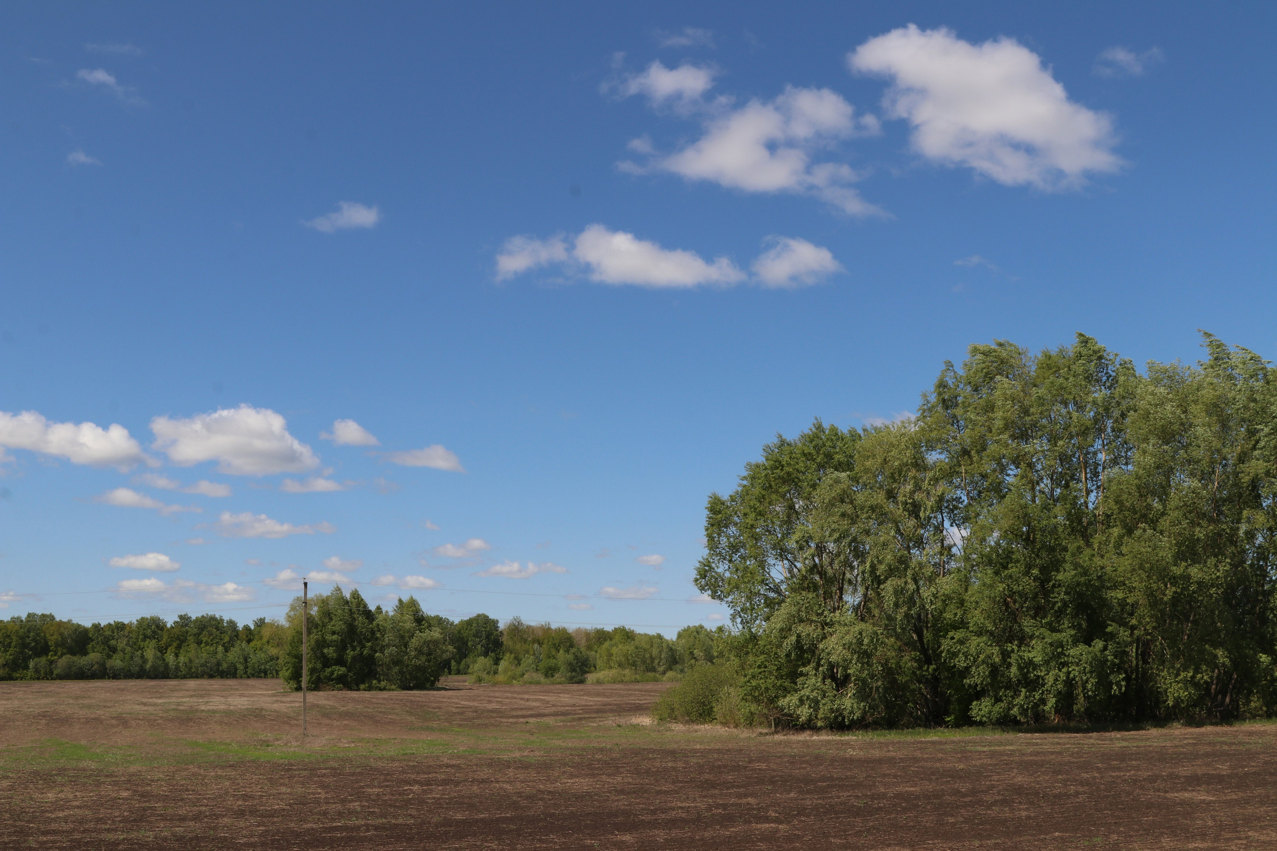 Велопоход Уфа — Мелеуз. Май 2024. Путешественник-фотограф из Санкт-Петербурга Татьяна Свистулина