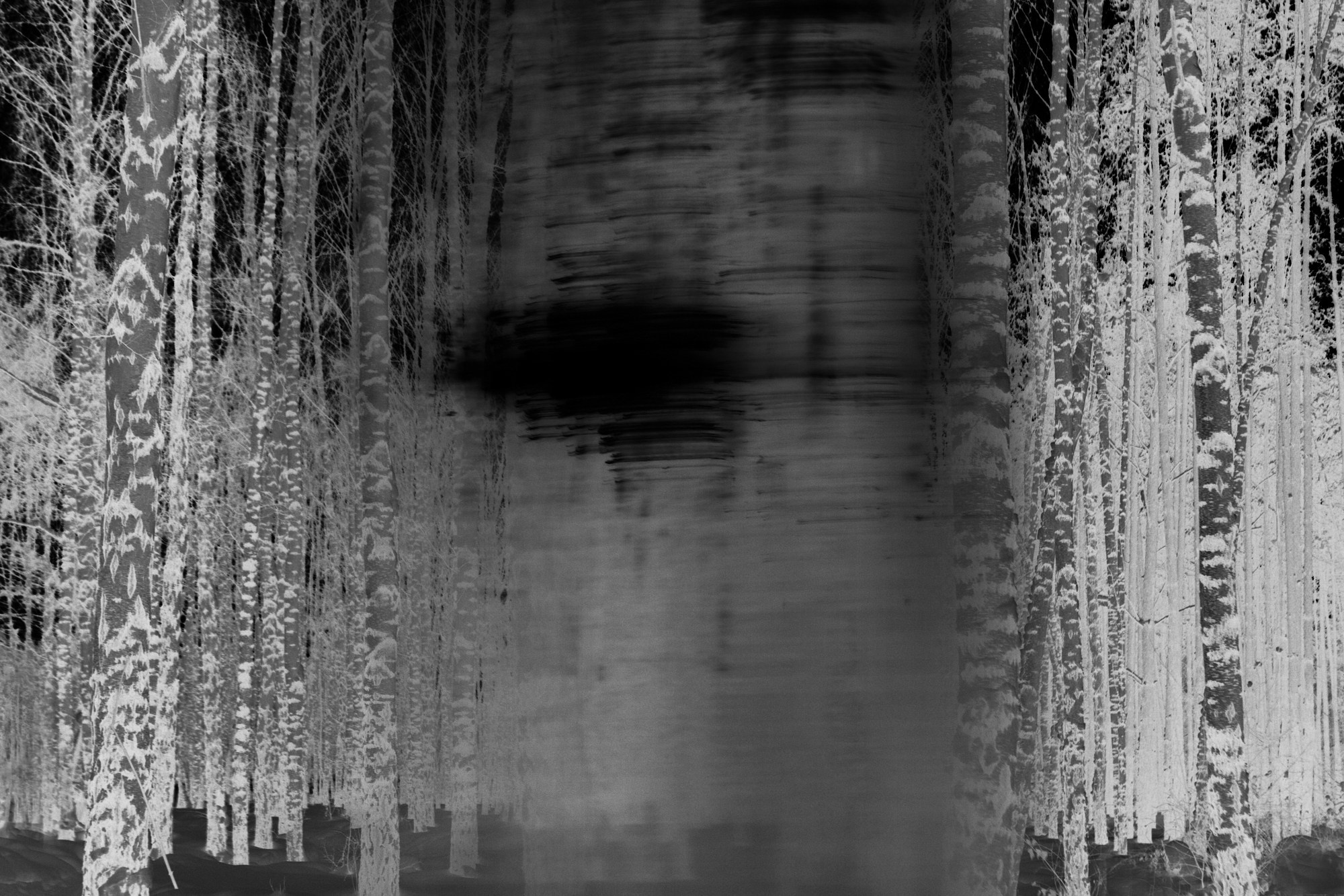 Teplushka project. Янина болдырева Yanina Boldyreva