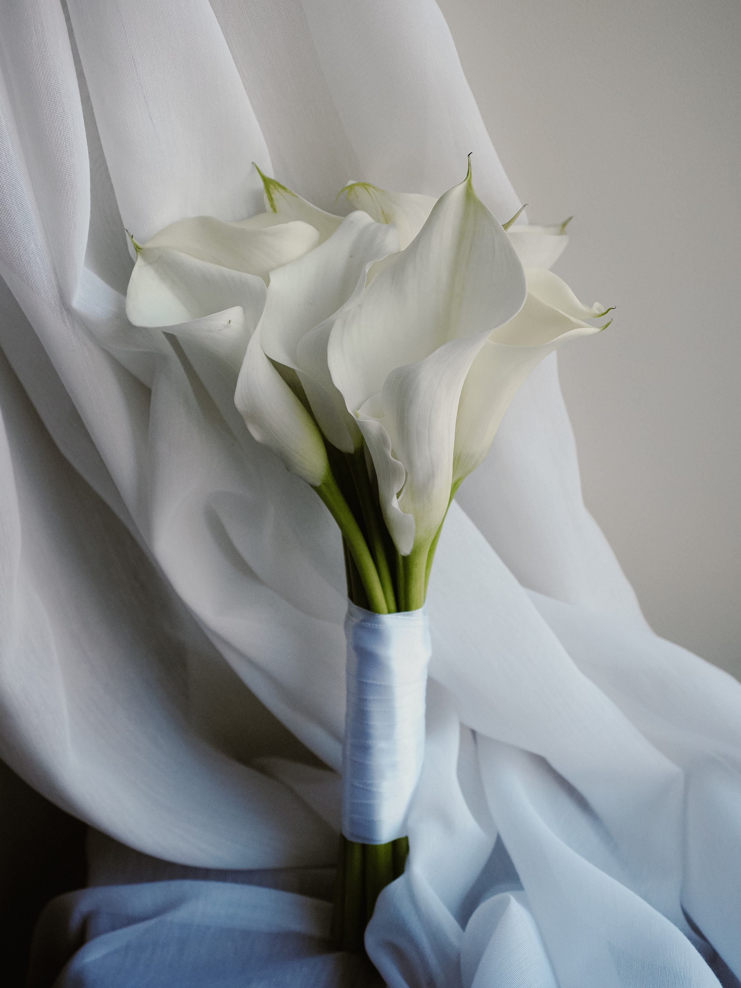 Дарья и Максим. Фотограф Рязань. Семейный Свадебный фотограф