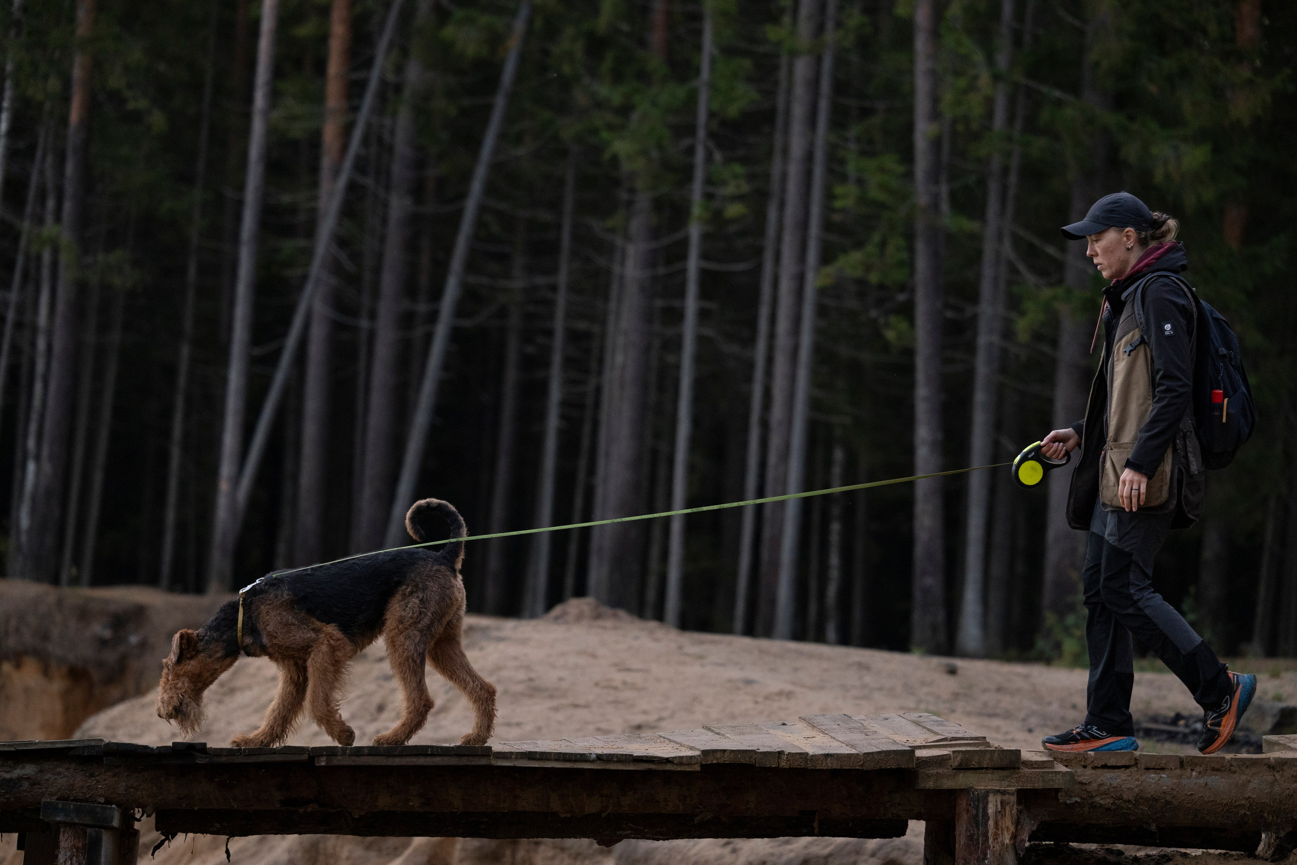 Харди. Фотограф-анималист Анна Маринич