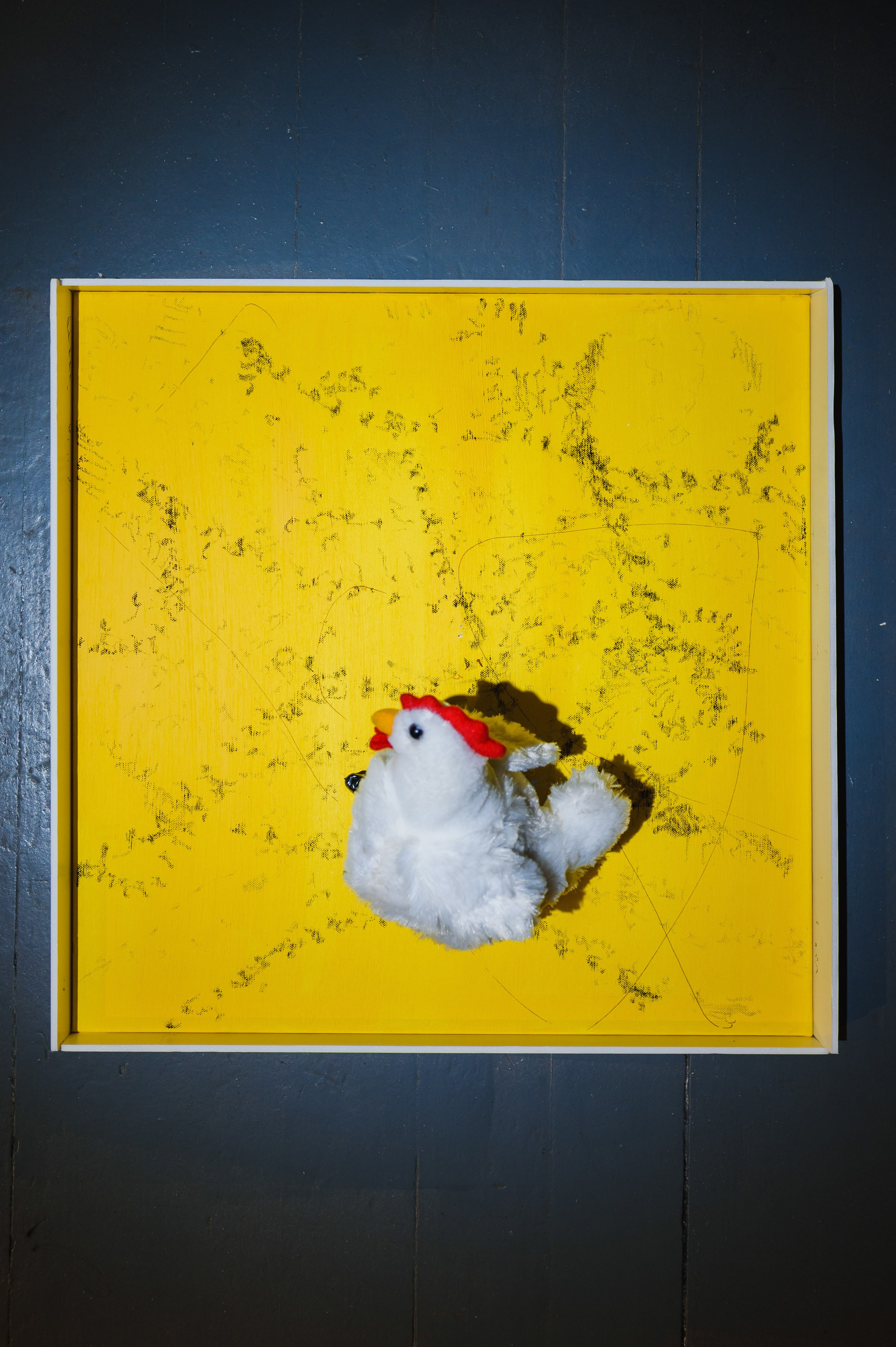 Выставки. Фотограф Руслан Хафизов