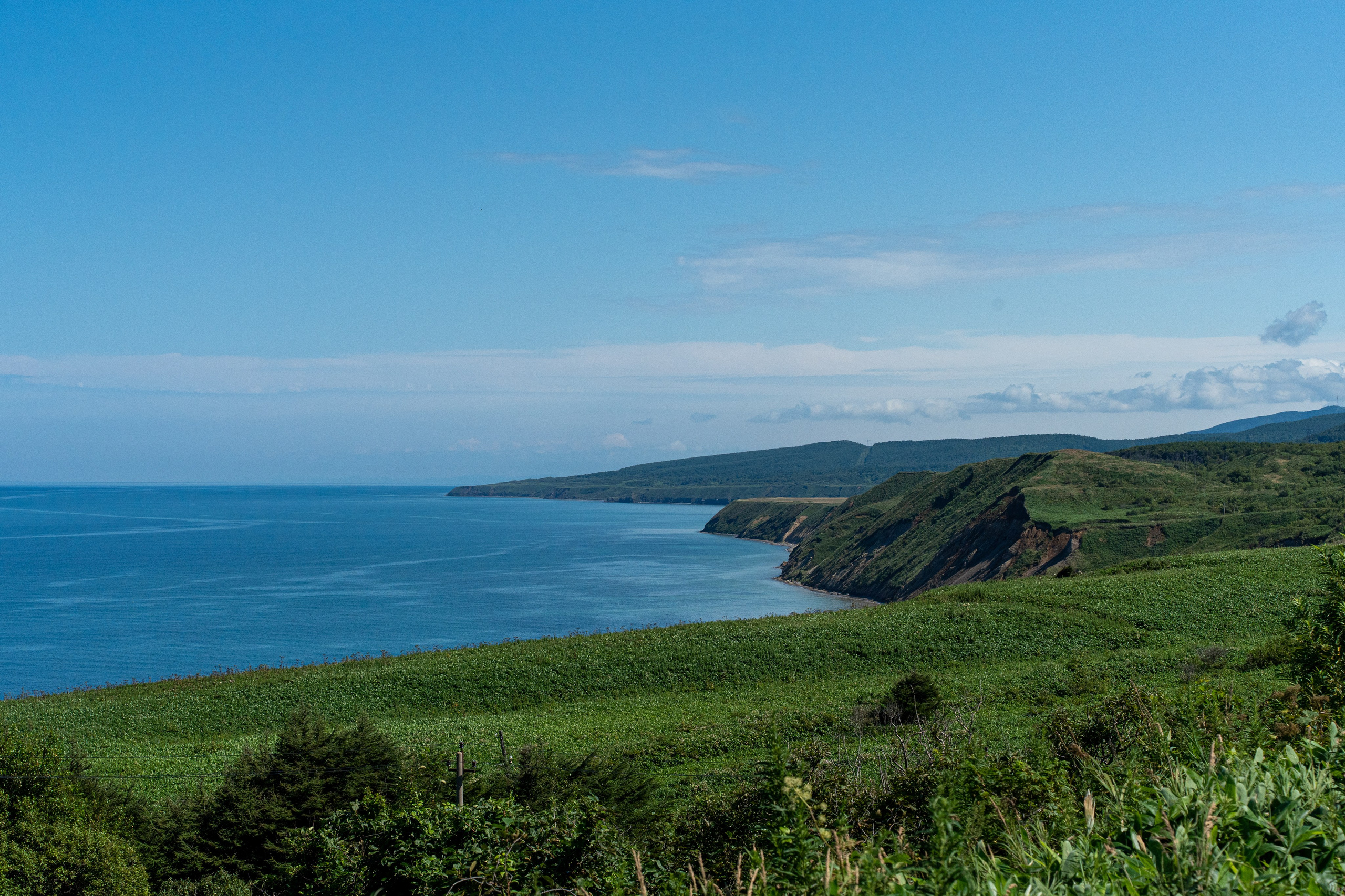 Сахалин 2025. Творческие сьемки