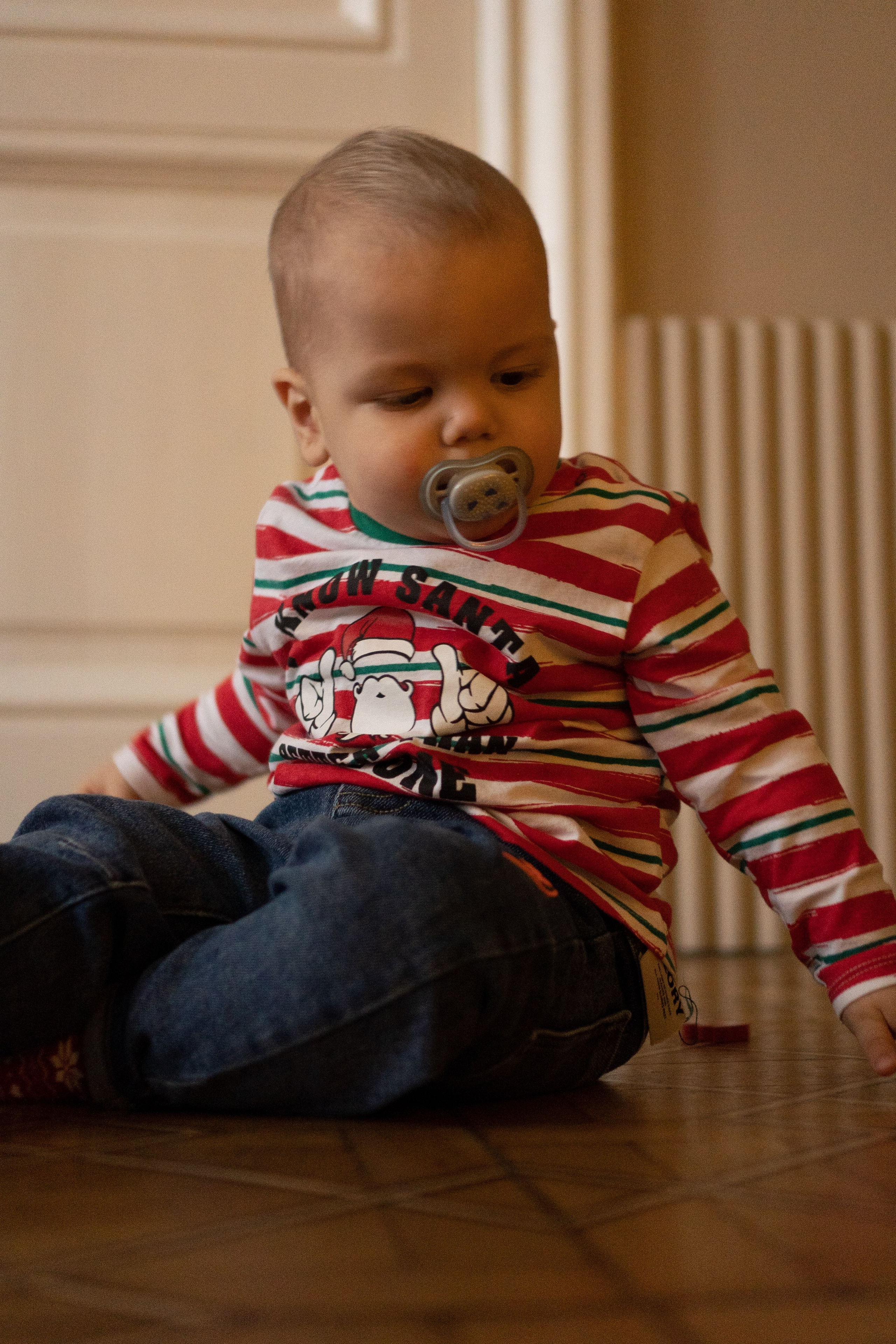 НОВОГОДНЯЯ В СТУДИИ. Профессиональный фотограф, Санкт-Петербург — Виктория Богомолова